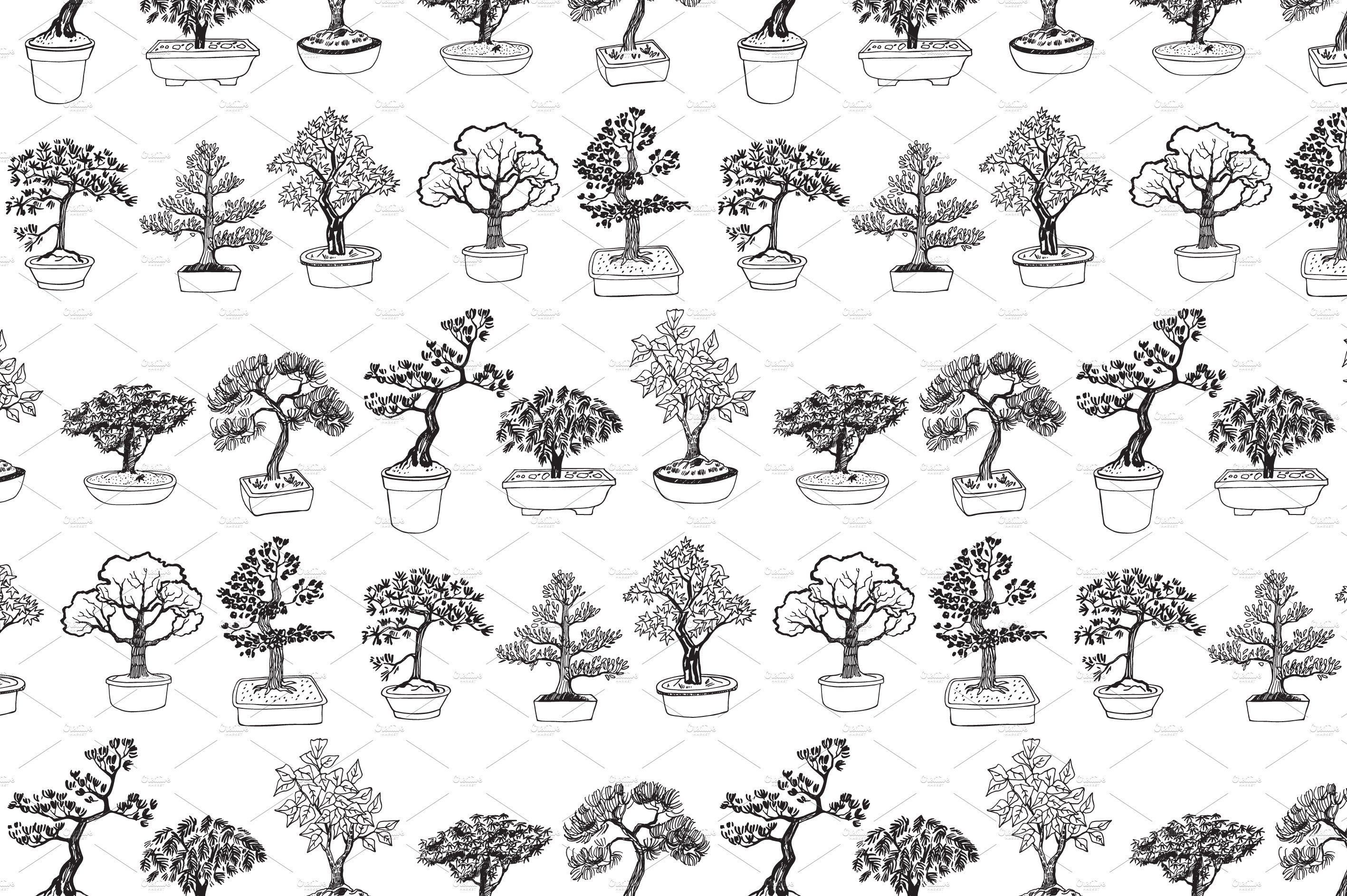 Wallpaper #jWdLE5MBSpphPi3-Rv-o566 Bonsai