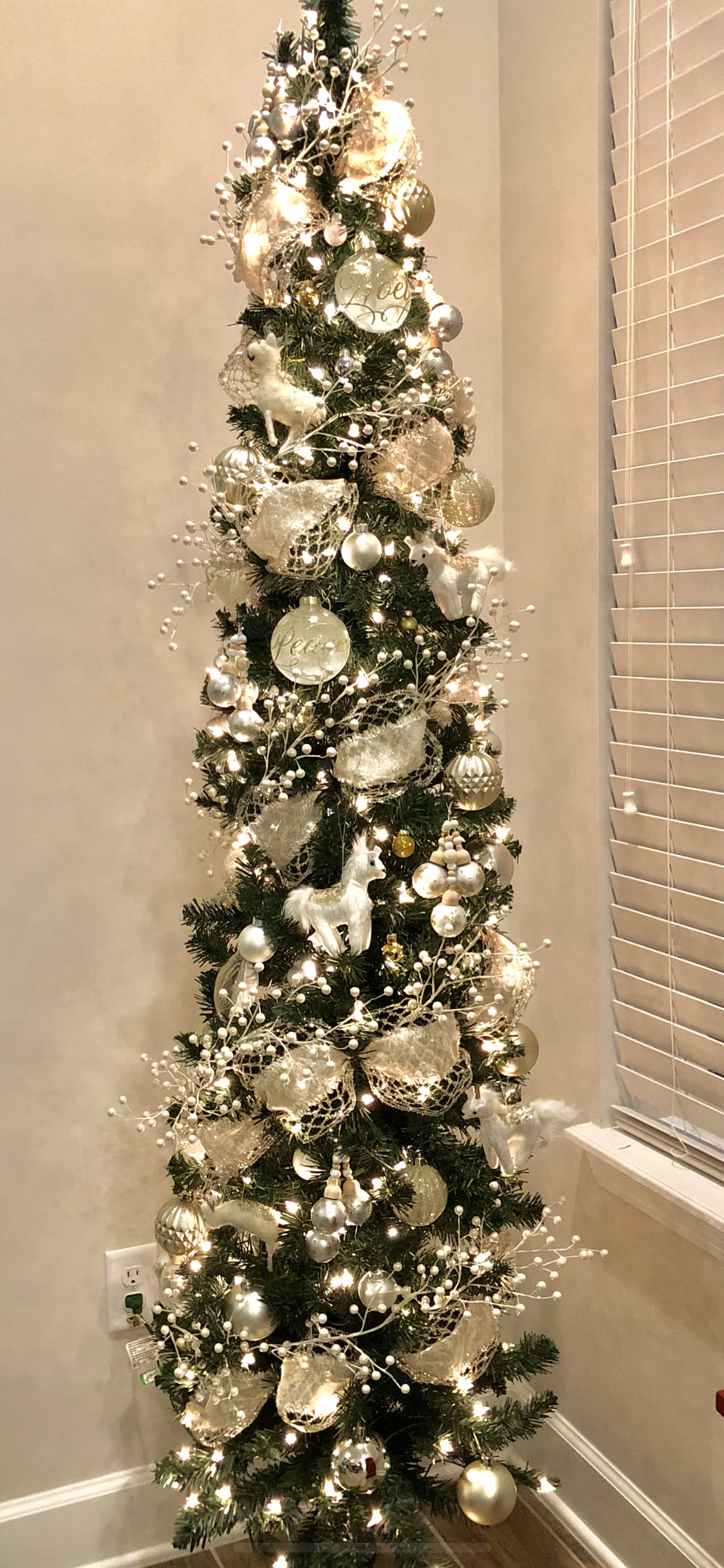 Wallpaper #BWgvFZMBSpphPi3-Zwec293 10 Pencil Tree Decorating Ideas Zyhomy