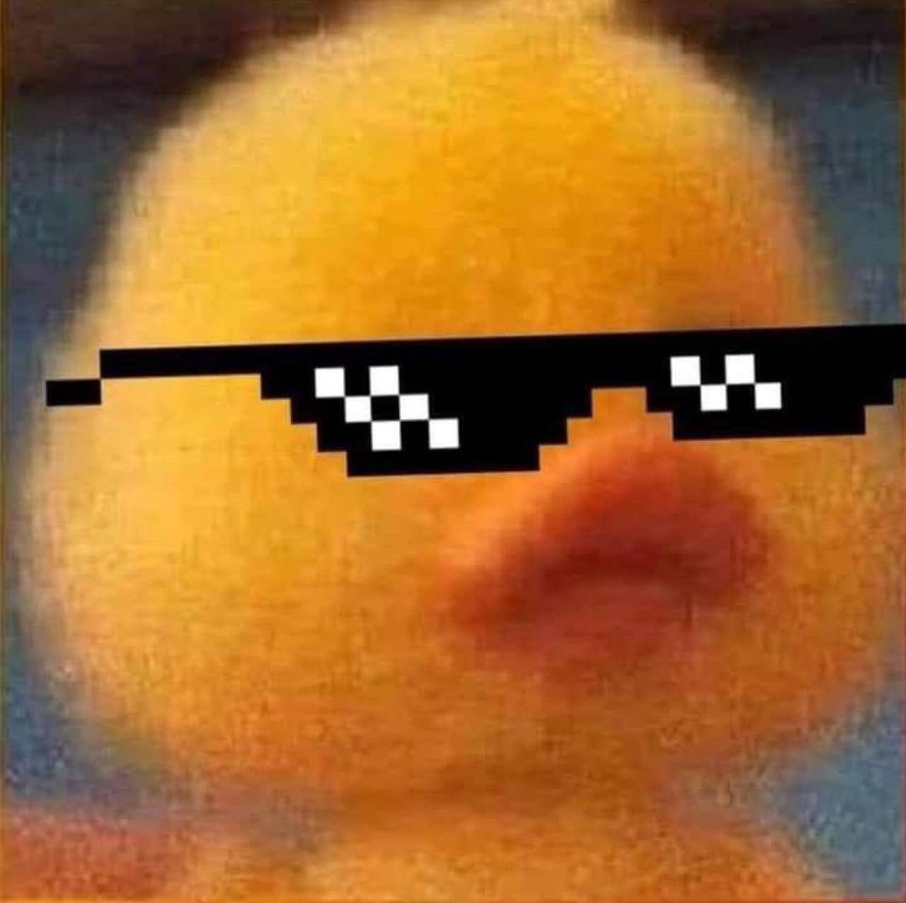 Wallpaper #UzUKkpcBk_lpvpalppRo16 Its a Duck Well Yk Its a Baddie Pfp Funny Cat Wallpaper Images