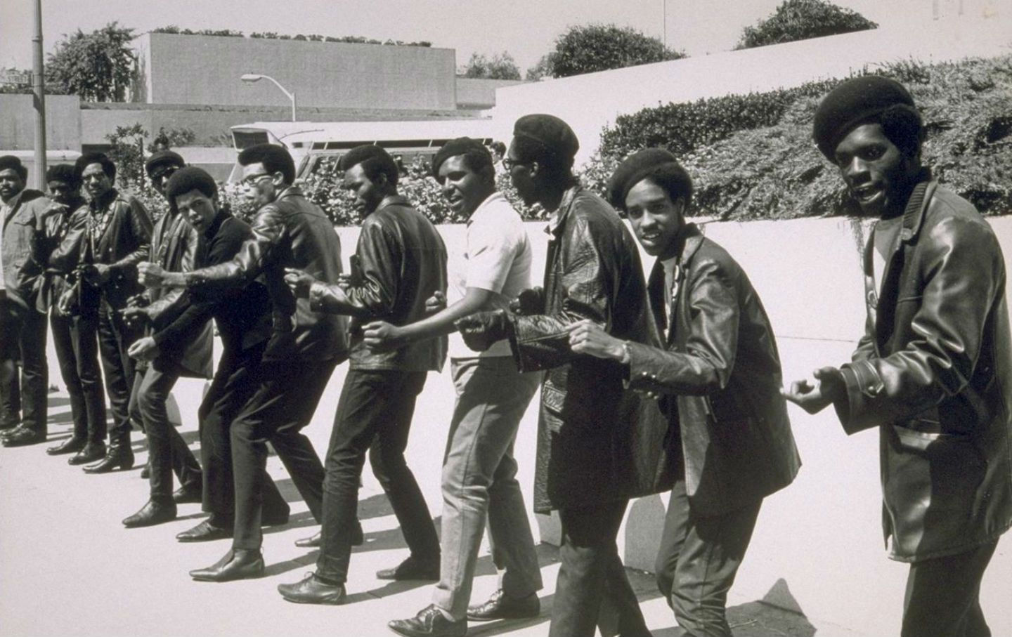 Wallpaper #6d884 The Black Panthers Vanguard of the Revolution Documentary About