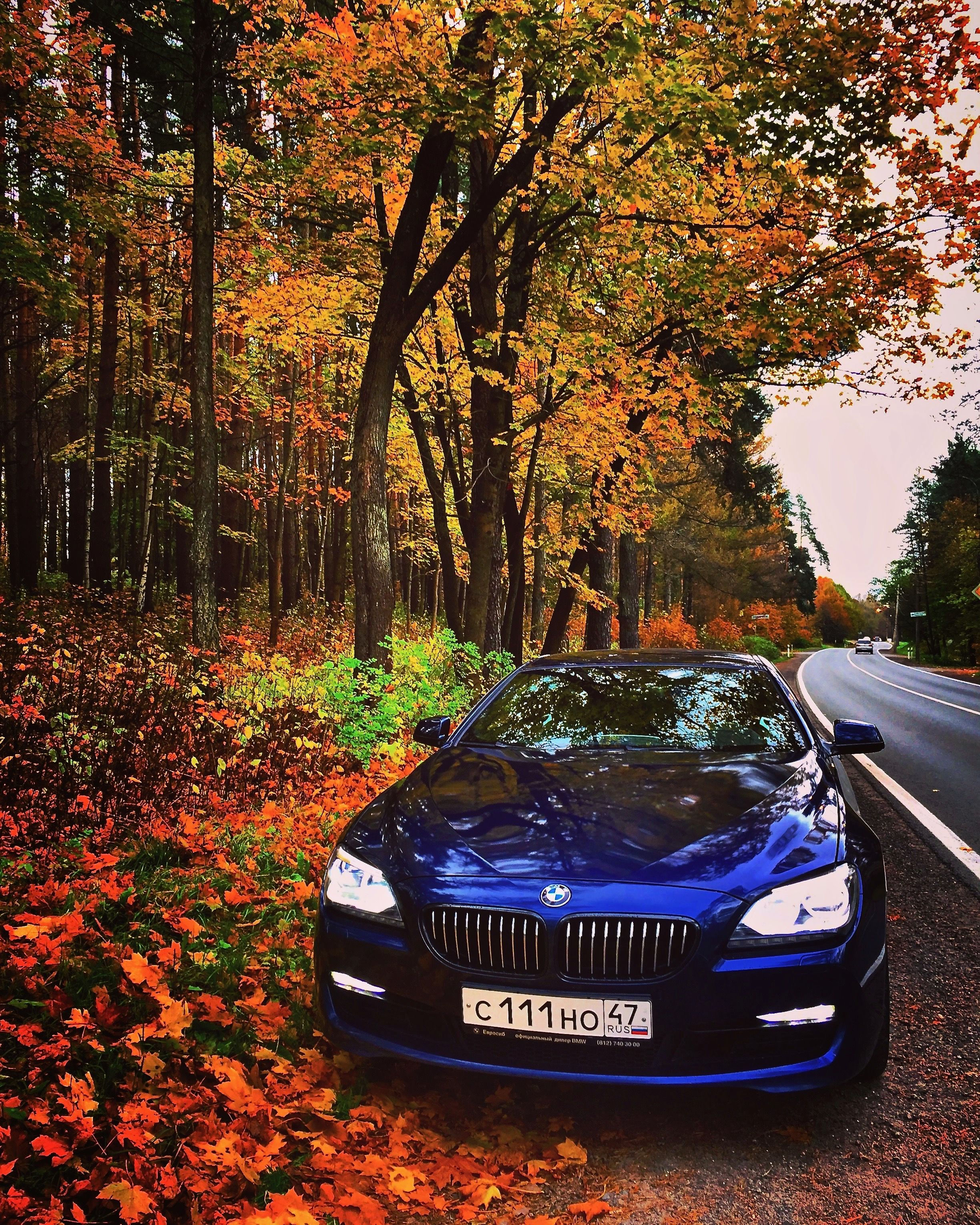 Wallpaper #1hmBB48BtGB6xQ78rla553 BMW F13 Autumn BMW Bmw Car Cars