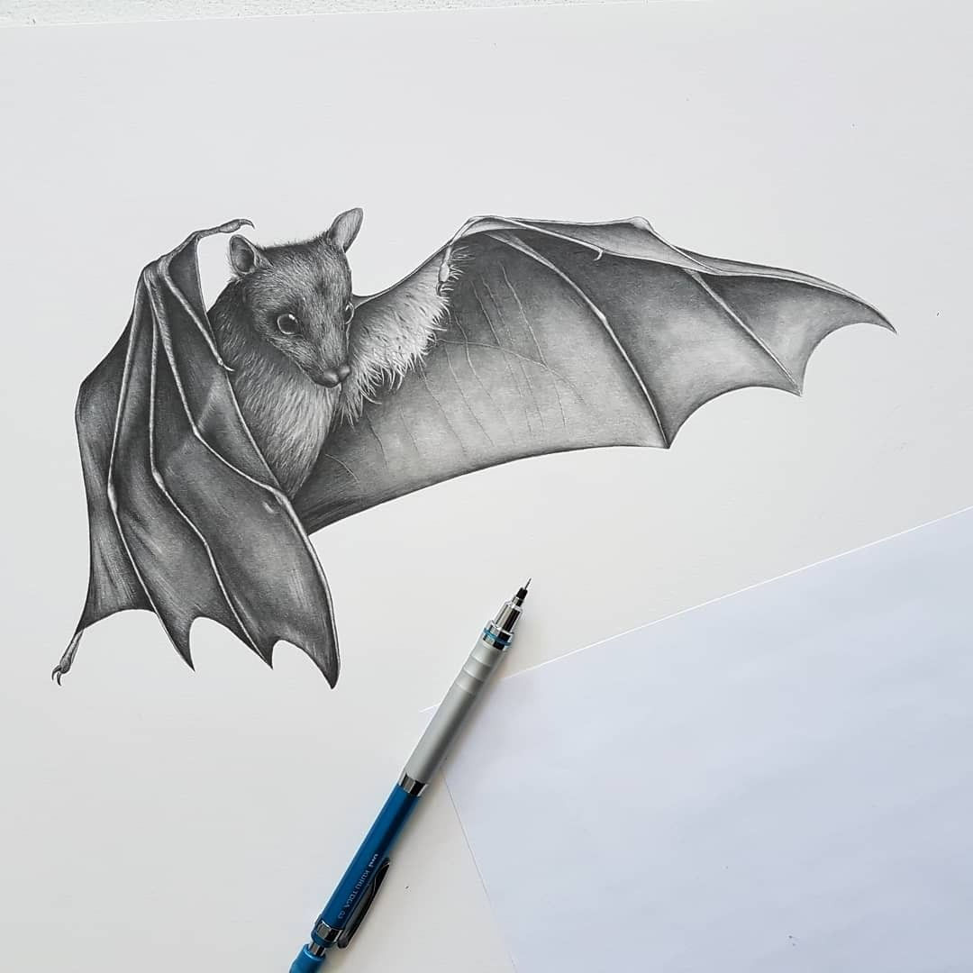 Wallpaper #R4uWdZcBcm9NJah-D3fD138 How to Draw a Scary Bat