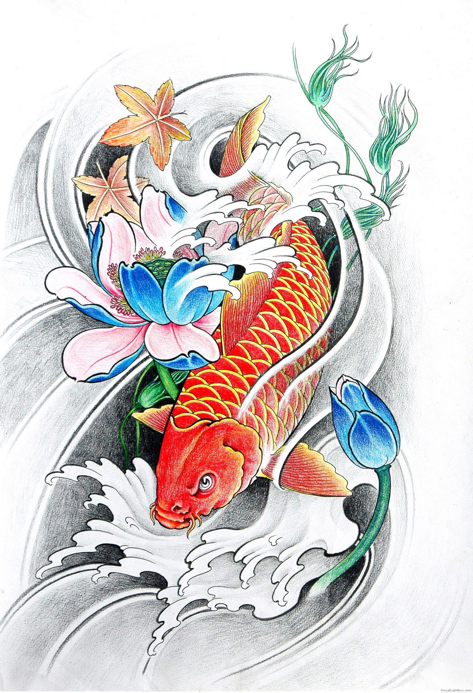 Wallpaper #5e6bc Black Yellow Koi Fish Fish Koi Tattoo Png and Vector with 5016 the