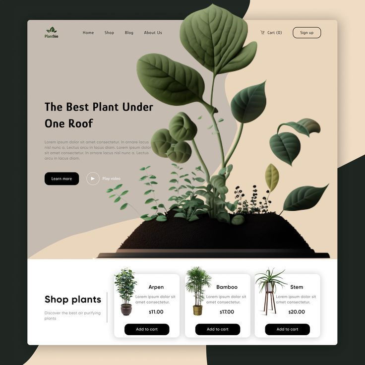 Wallpaper #GLmI3ZIBJvJKYCmEJwEF373 The Landing Page for an Eco Friendly Planter Website with Plants