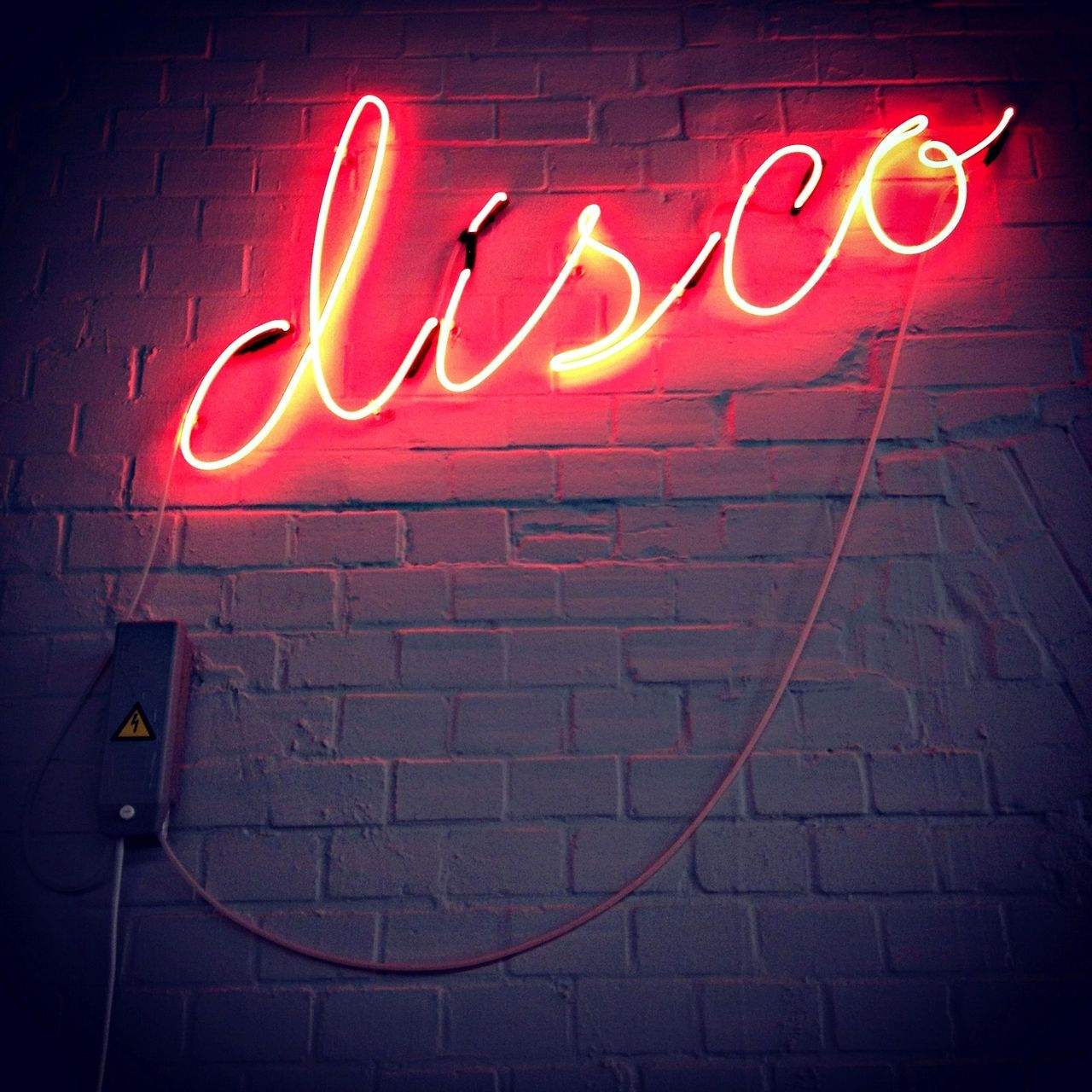 Wallpaper #32gqF5MBSpphPi3-sA2h260 Disco Neon Sign More Fred Instagram New Retro Wave Neon Words Roller