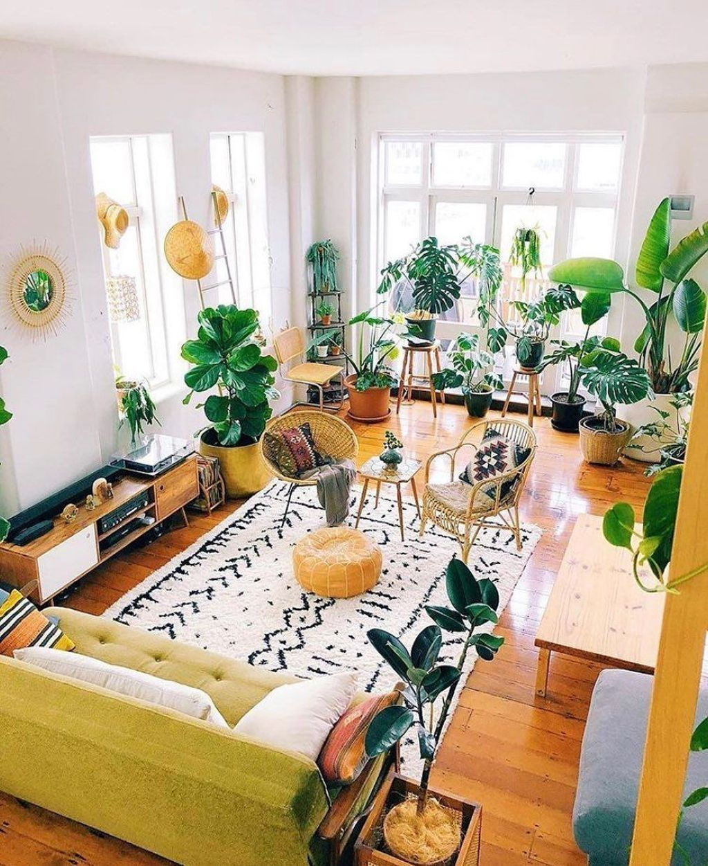 Wallpaper #b5610 30 Pretty House Plants Ideas for Living Room Decoration Living Room