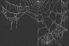 Wallpaper #drj52ZIBJvJKYCmEO--P314 White Transparent Spider Web Png Image