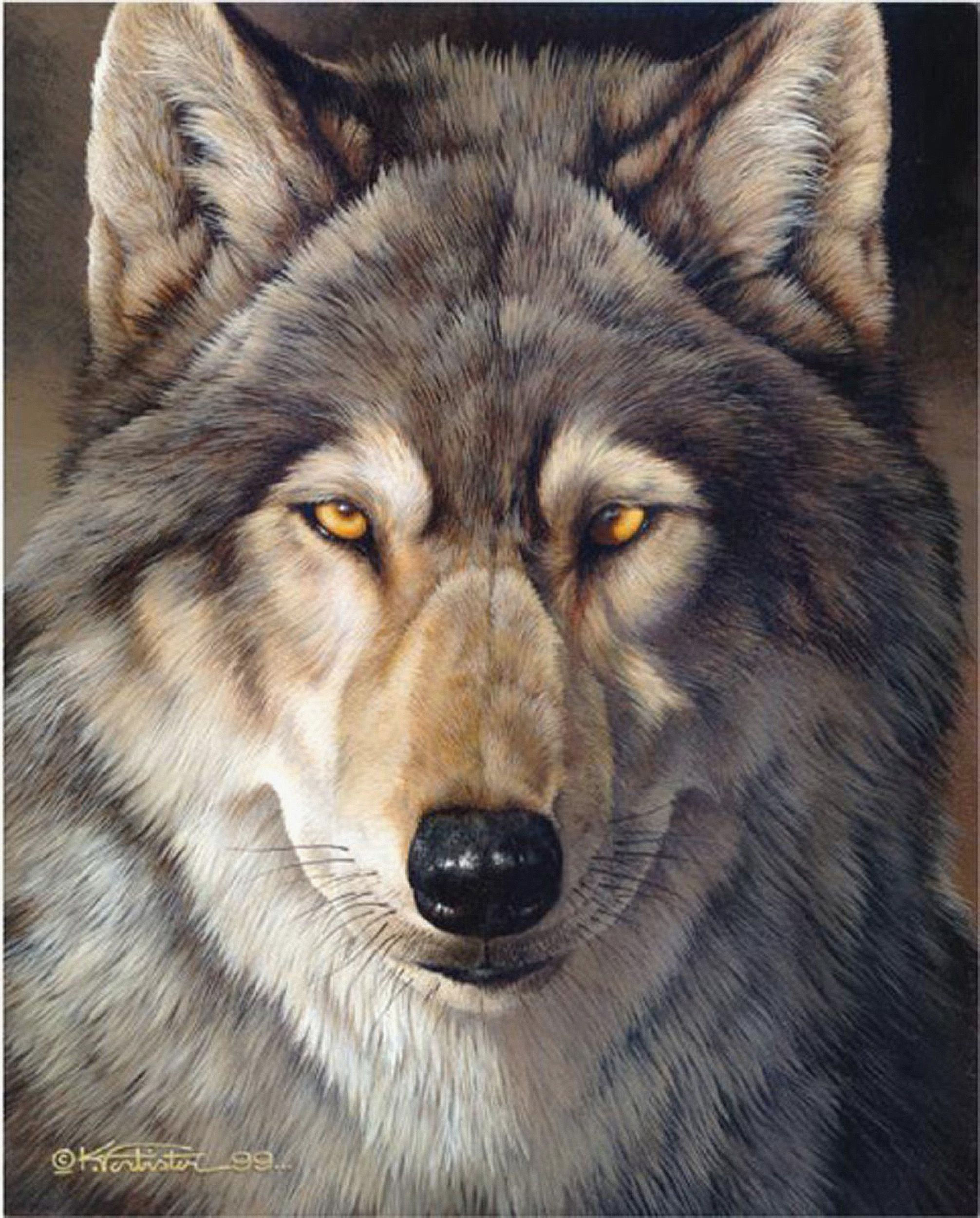 Wallpaper #4h3xLJMBlOZrFDOkhswd182 Wolf Portrait Painting by Ken Forbister Acrylic on Hardboard Dad