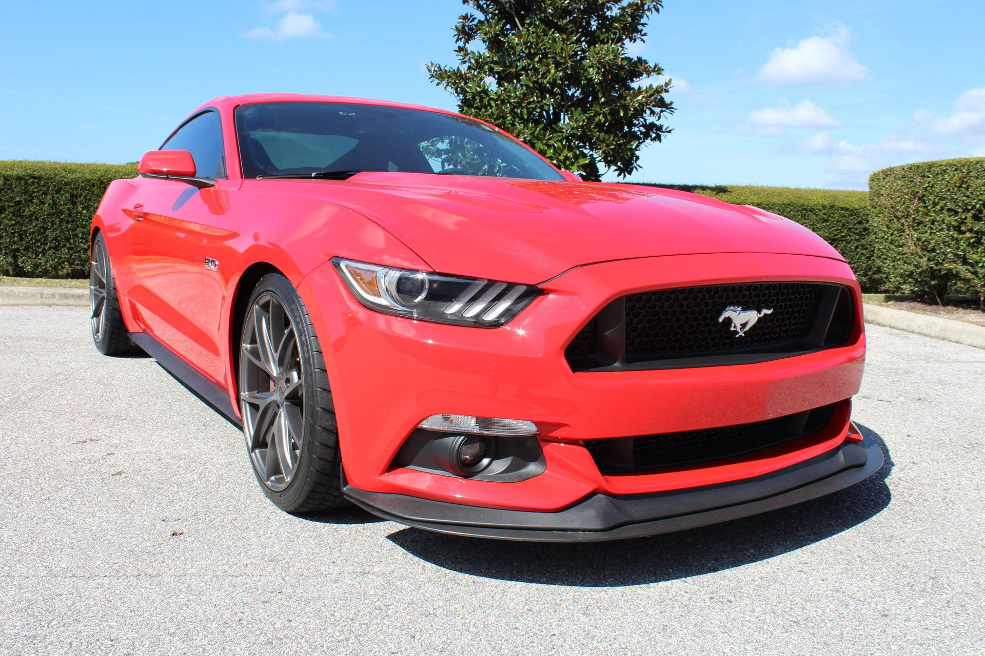 Wallpaper #A2jxIJMBSpphPi3-zi-J331 2015 Ford Mustang GT Classic Cars of Sarasota