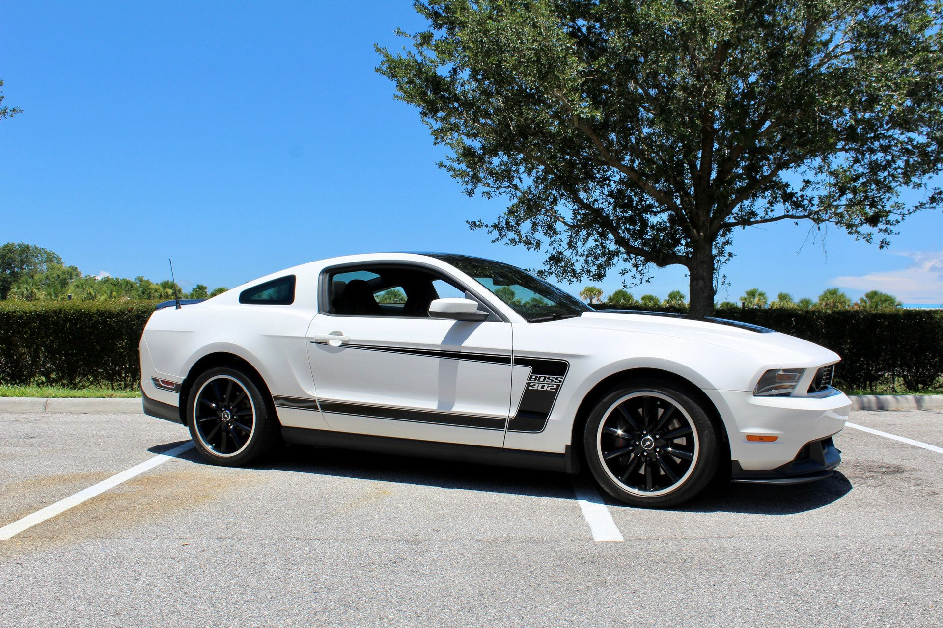 Wallpaper #5Gj0GJMBSpphPi3-pBTv90 2012 Ford Boss 302 Classic Cars of Sarasota