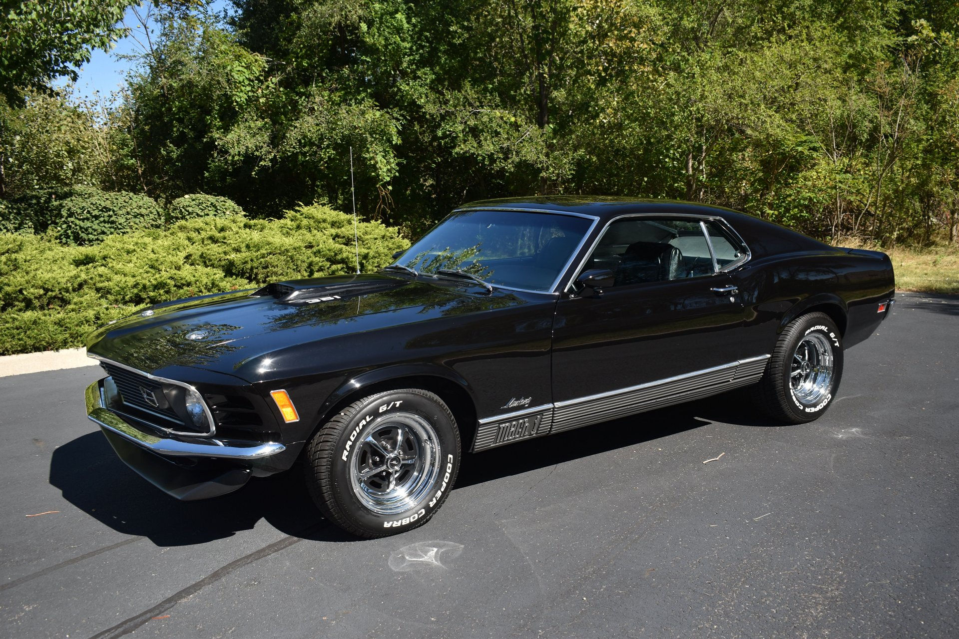 Wallpaper #JACd4Y4BSdW8dNou2wuT37 Vorschlagen Sag Mir Das Bezweifle Ich Mustang Mach 1 1970 Speck Blod