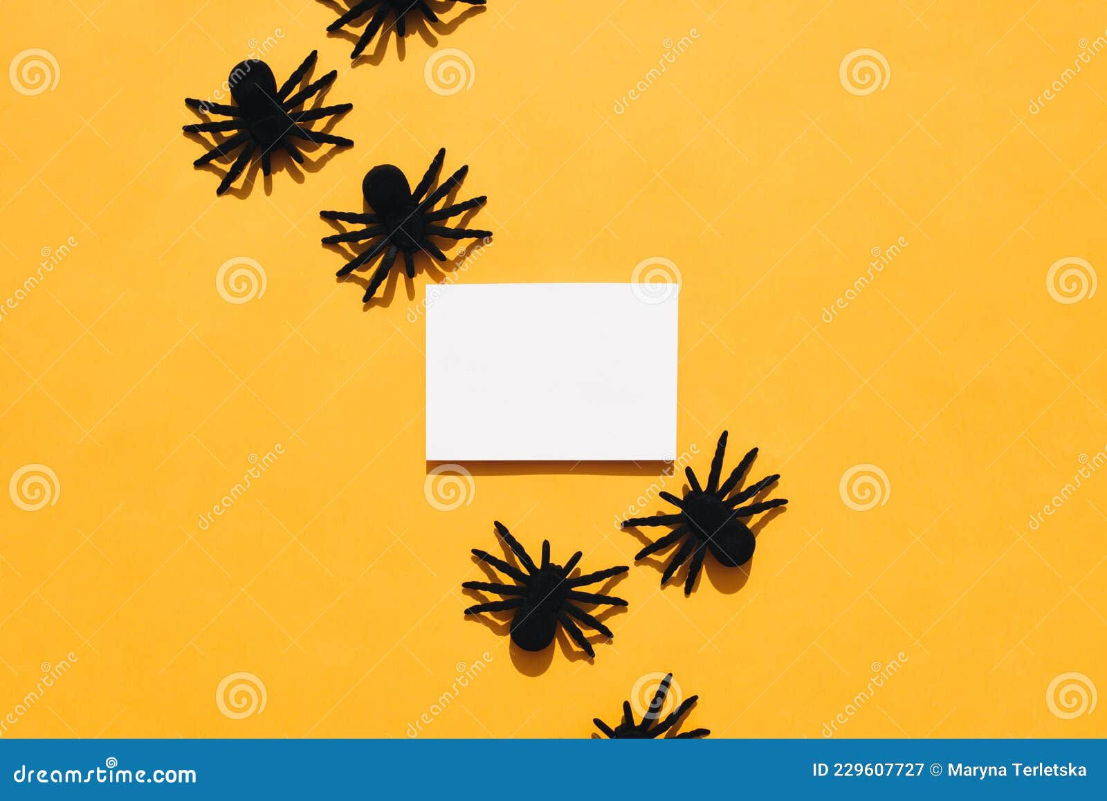 Wallpaper #ku82S5MBMN-XEVvV-TpB281 Orange Background with Large Spiders Stock Image Image of Isolated