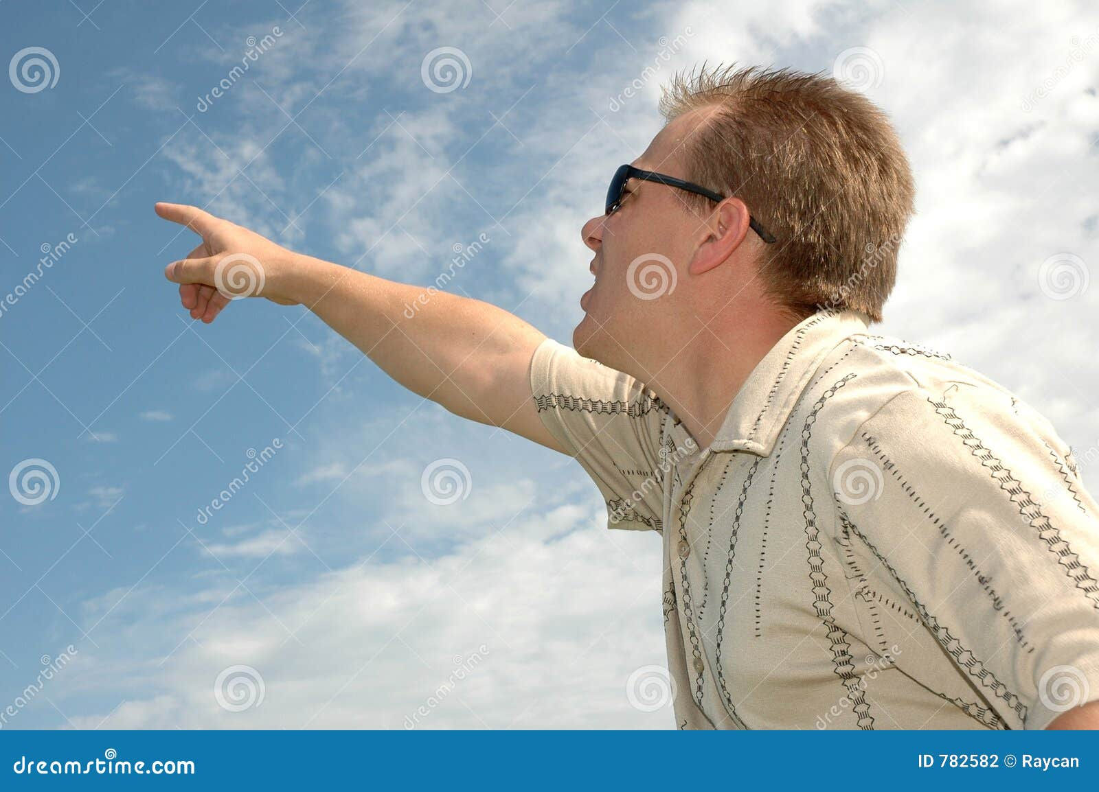 Wallpaper #wBldDo8BtGB6xQ78NFne38 Man Pointing to the Sky Stock Photo Image of Point Gander 782582