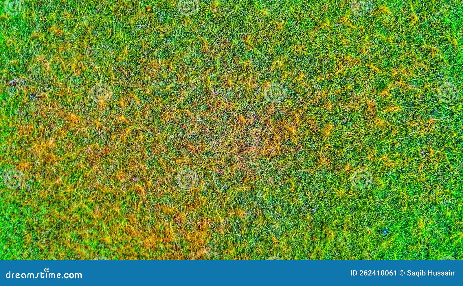 Wallpaper #4kDcLpMBJhL2WPbaNbo2210 Texture Green High Resolution Stock Image Image of Background