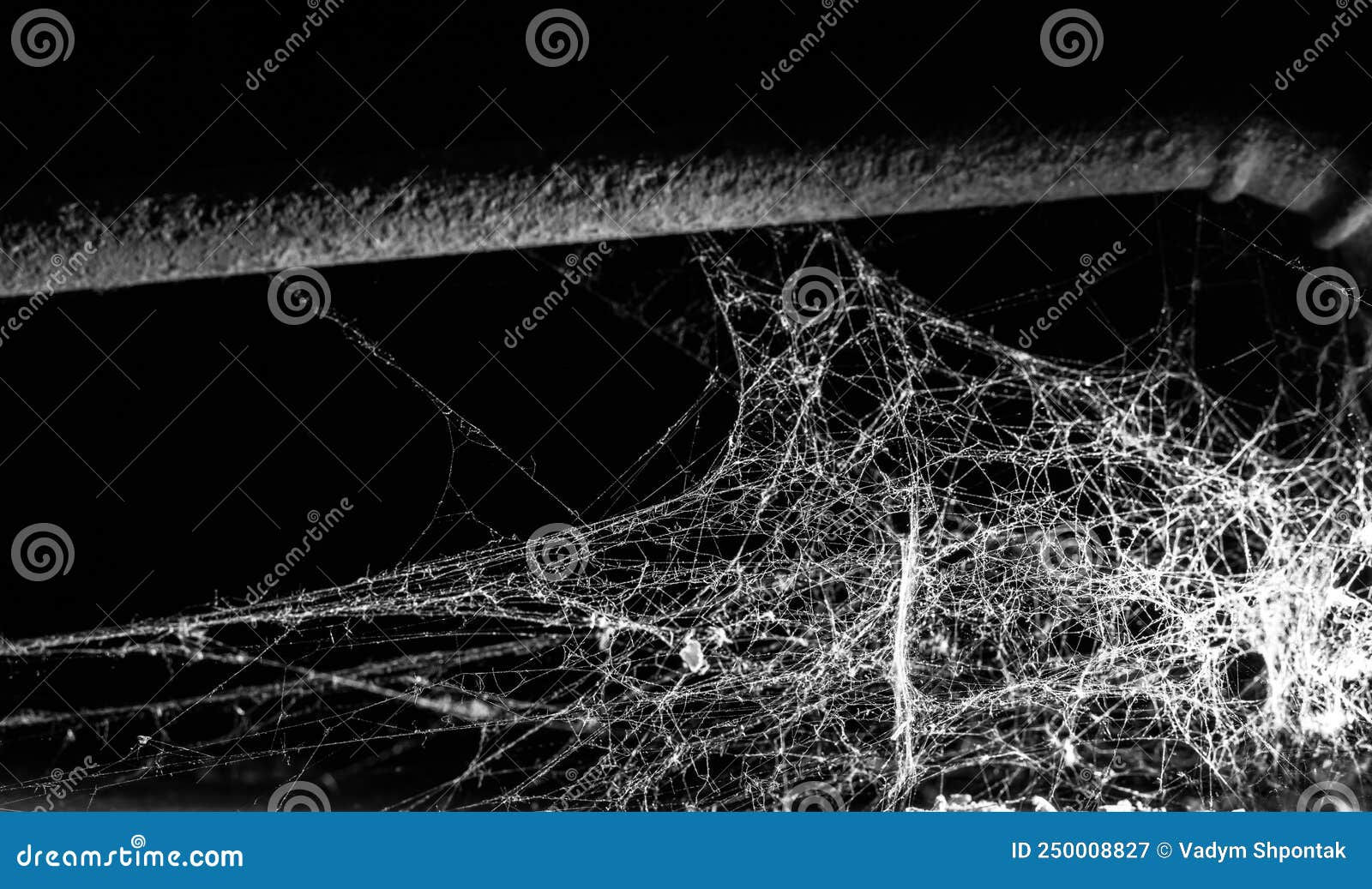 Wallpaper #yP_JaJMB3lSXT3zUg-SK44 Triangle Horror Cobweb or Spider Web Isolated on Black Background