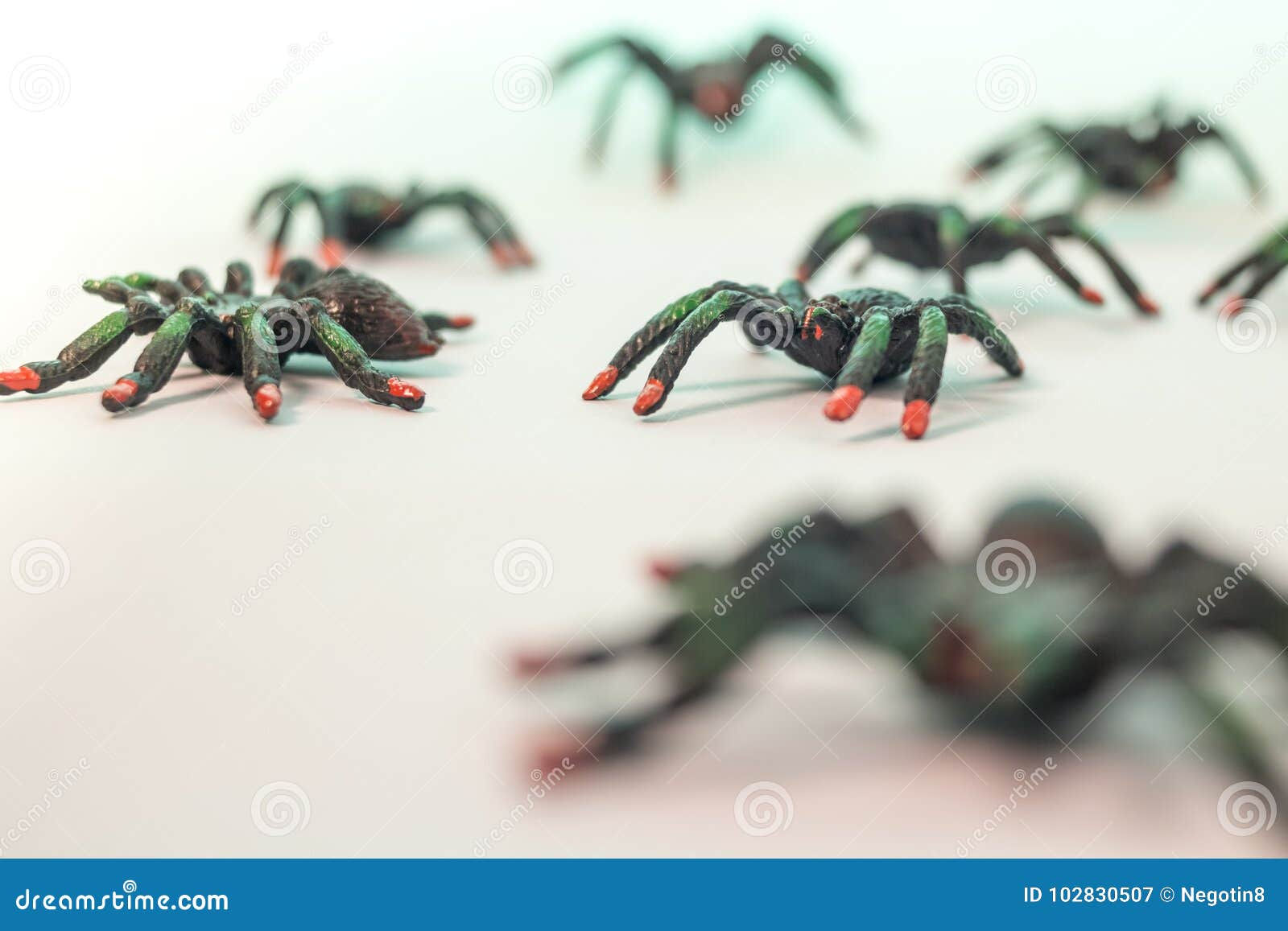 Wallpaper #-vQcOpMBKFX8bn3rt3dJ299 Toy Spiders Isolated Stock Image Image of Scary Halloween 102830507