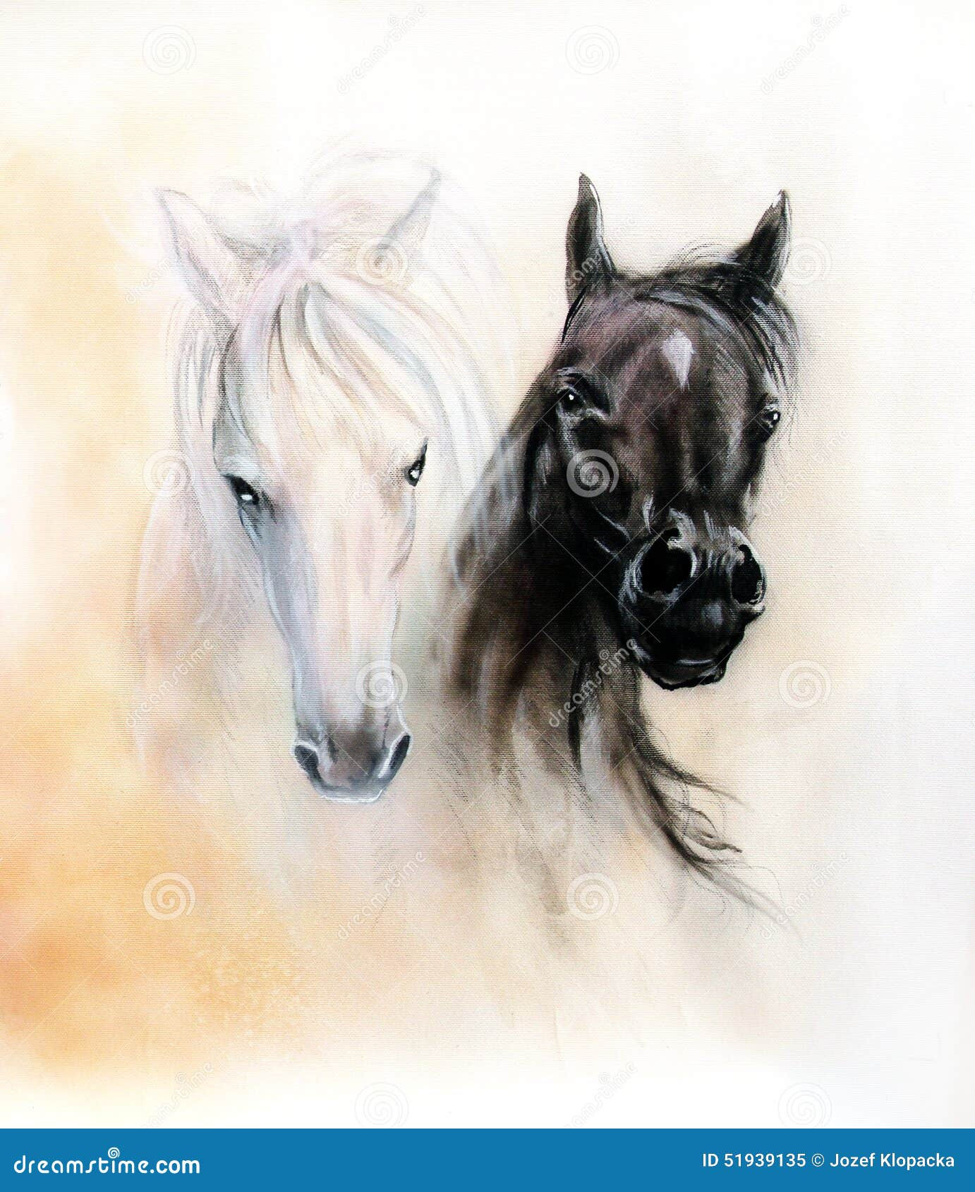 Wallpaper #rR2DLJMBlOZrFDOktMrB189 Horse Heads Two Black and White Horse Spirits Beautiful Detail Stock