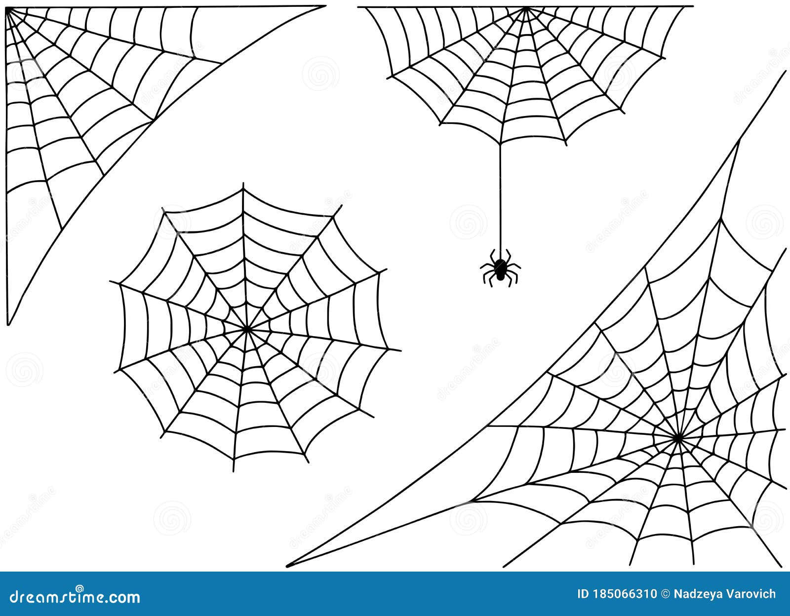 Wallpaper #82dGAZMBSpphPi3-KqlJ2 Halloween Spider Web and Spider Isolated on White Background Hector