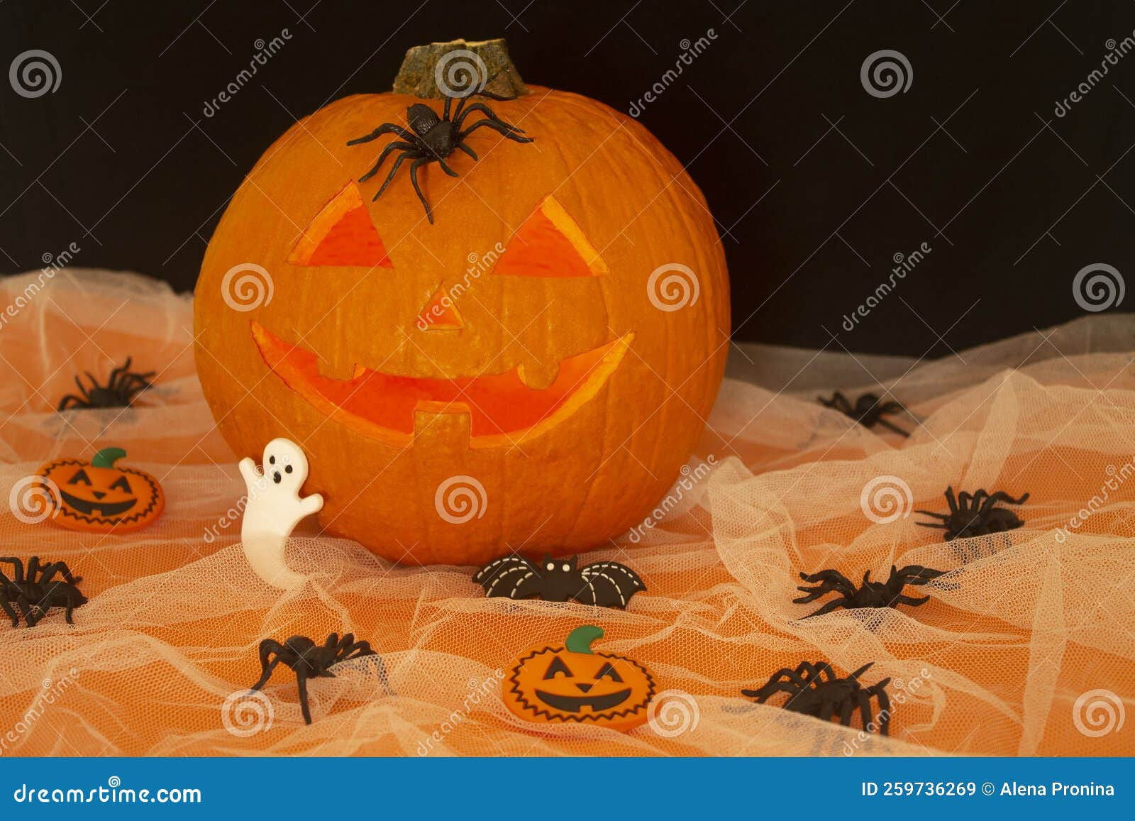 Wallpaper #SfS5OZMBKFX8bn3rL3dx120 Halloween Pumpkin with Spiders Ghost Bat and Candles Stock Image