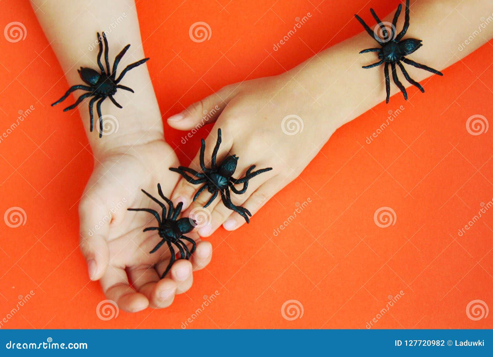 Wallpaper #1fQOOpMBKFX8bn3r-3cr360 Hands of a Child Playing with Black Rubber Spiders Toys on Orange Paper