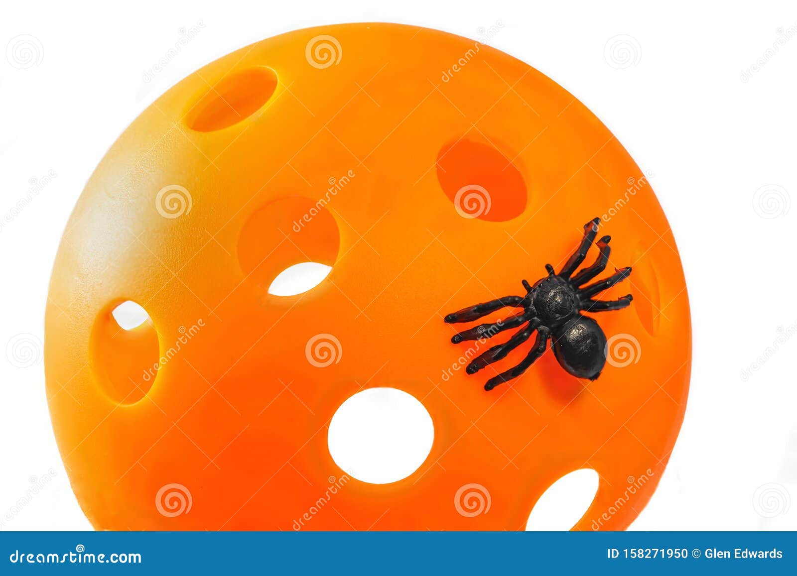 Wallpaper #HGcYCpMBSpphPi3-btPW184 Halloween Pickleball Spider Stock Photo Image of Crawling Object