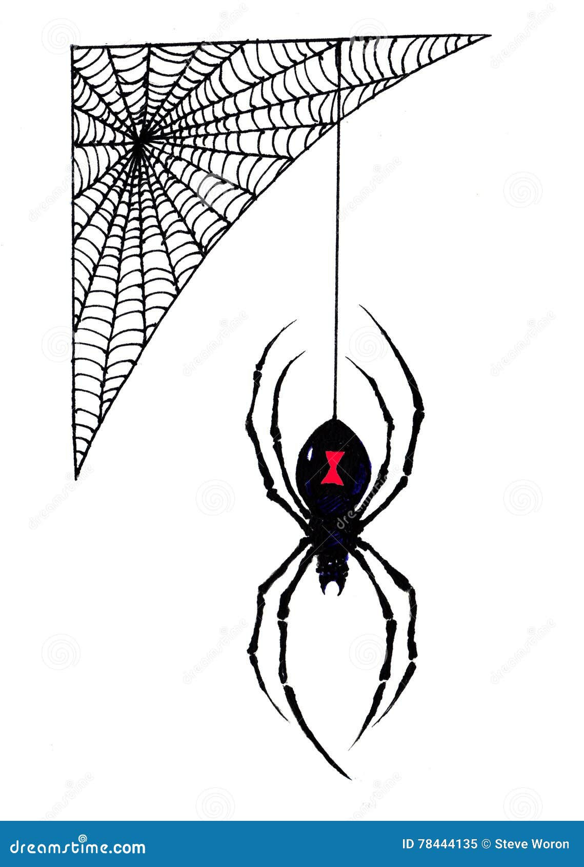 Wallpaper #WRnNEo8BtGB6xQ78GGR15 Halloween Black Widow Spider Hangs from Its Web Stock Illustration