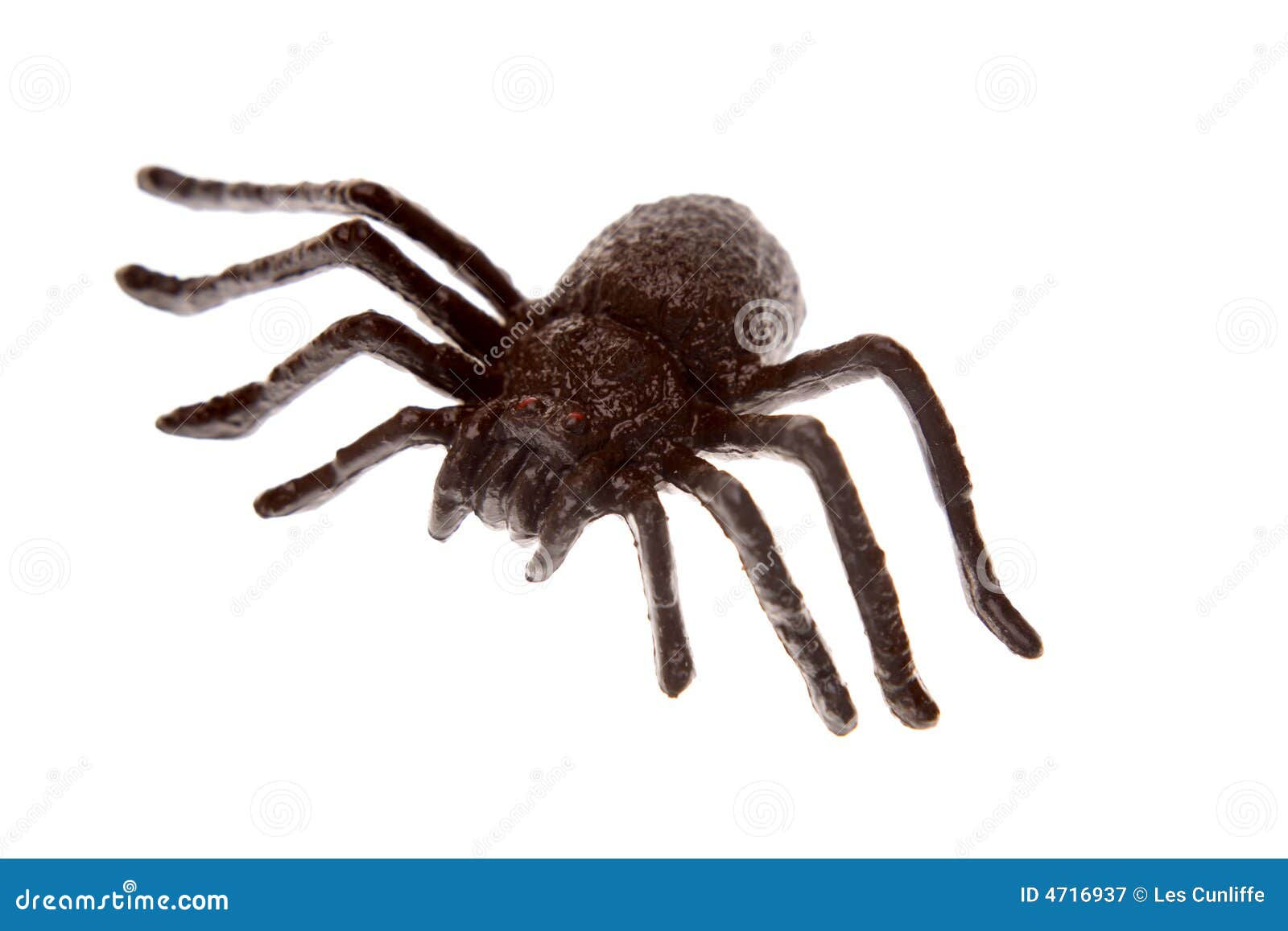 Wallpaper #HfQqOpMBKFX8bn3rhHgw251 Plastic Spider Stock Image Image of Scary Spider Insect 4716937