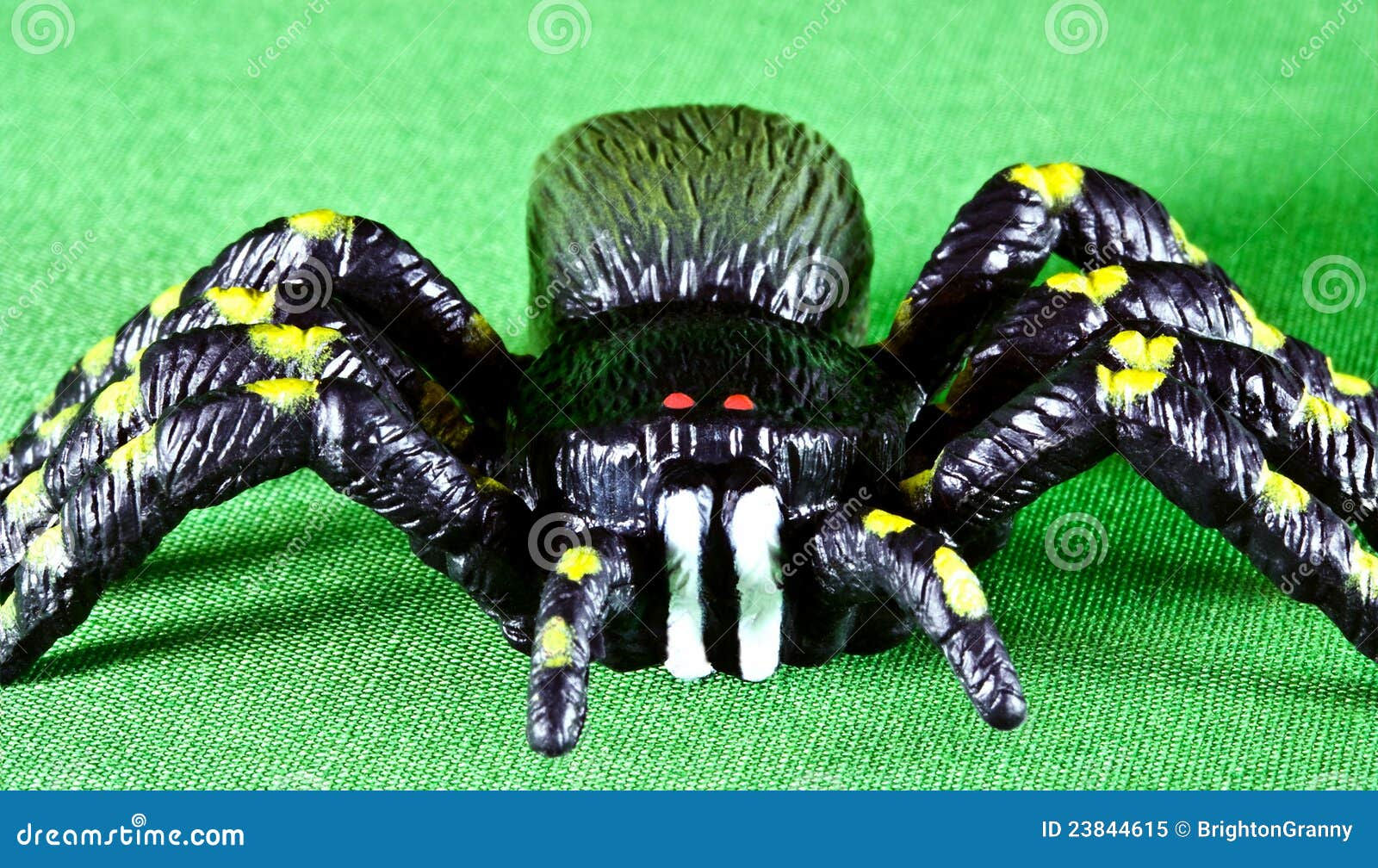 Wallpaper #1fQOOpMBKFX8bn3r-3cr133 Plastic Toy Spider Stock Image Image of Halloween Closeup 23844615