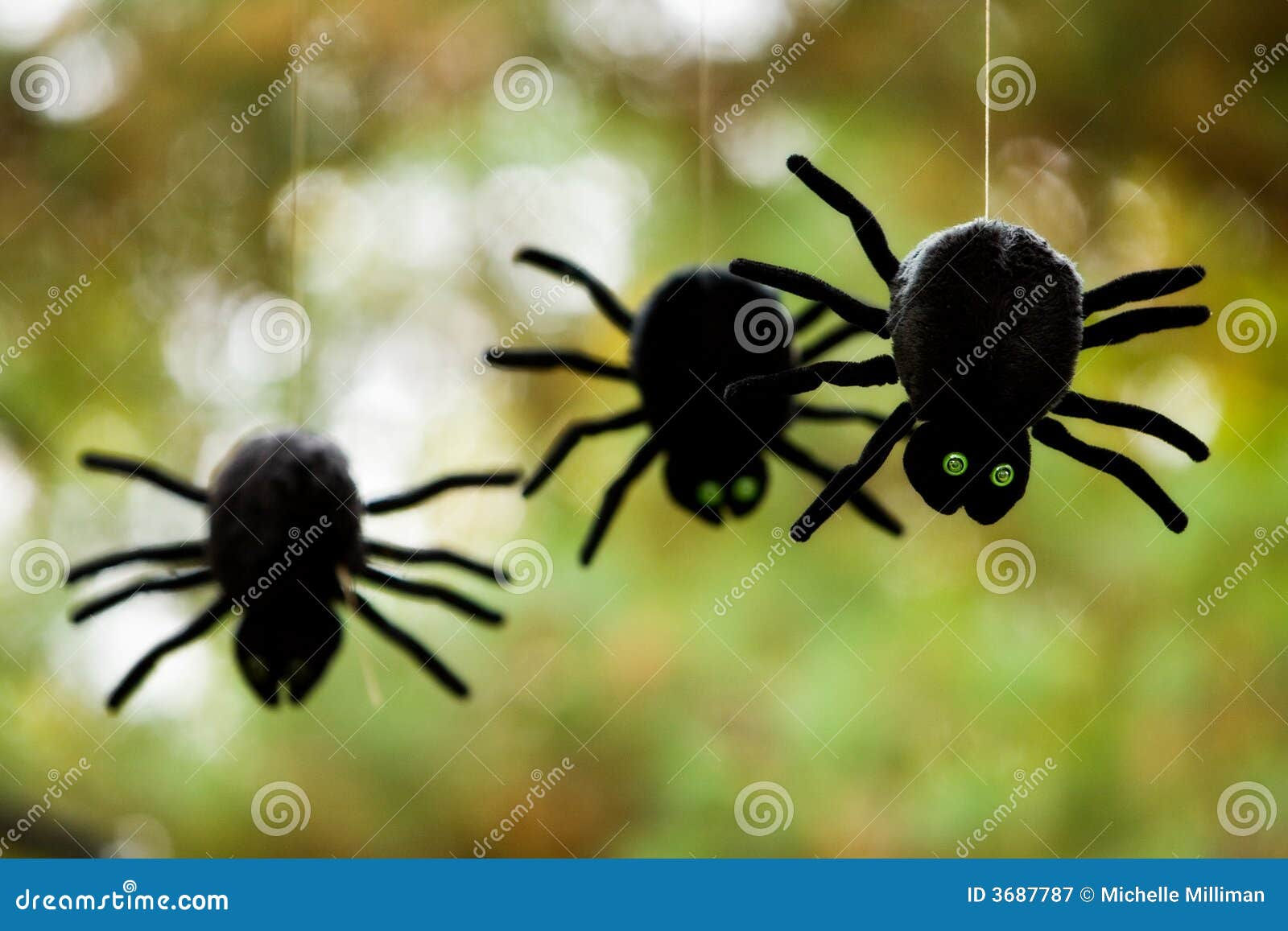 Wallpaper #3PQROpMBKFX8bn3rnHfv374 Plush Spiders Stock Image Image of Bugs Decoration Halloween 3687787