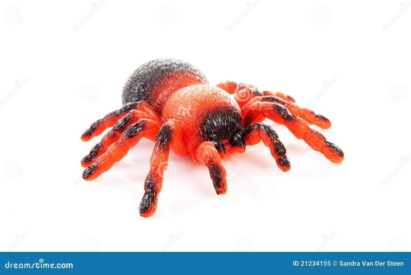 Wallpaper #1fQOOpMBKFX8bn3r-3cr136 Plastic Spider Toy Stock Image Image of Fake Isolated 21234155