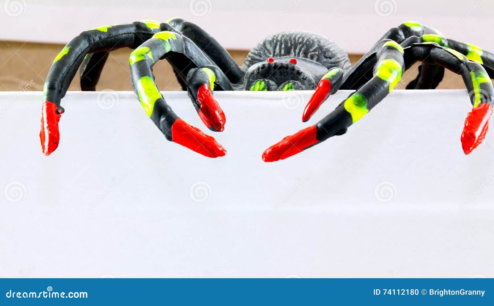 Wallpaper #HfQqOpMBKFX8bn3rhHgw32 Plastic Toy Spider in Box Stock Photo Image of Climbing 74112180