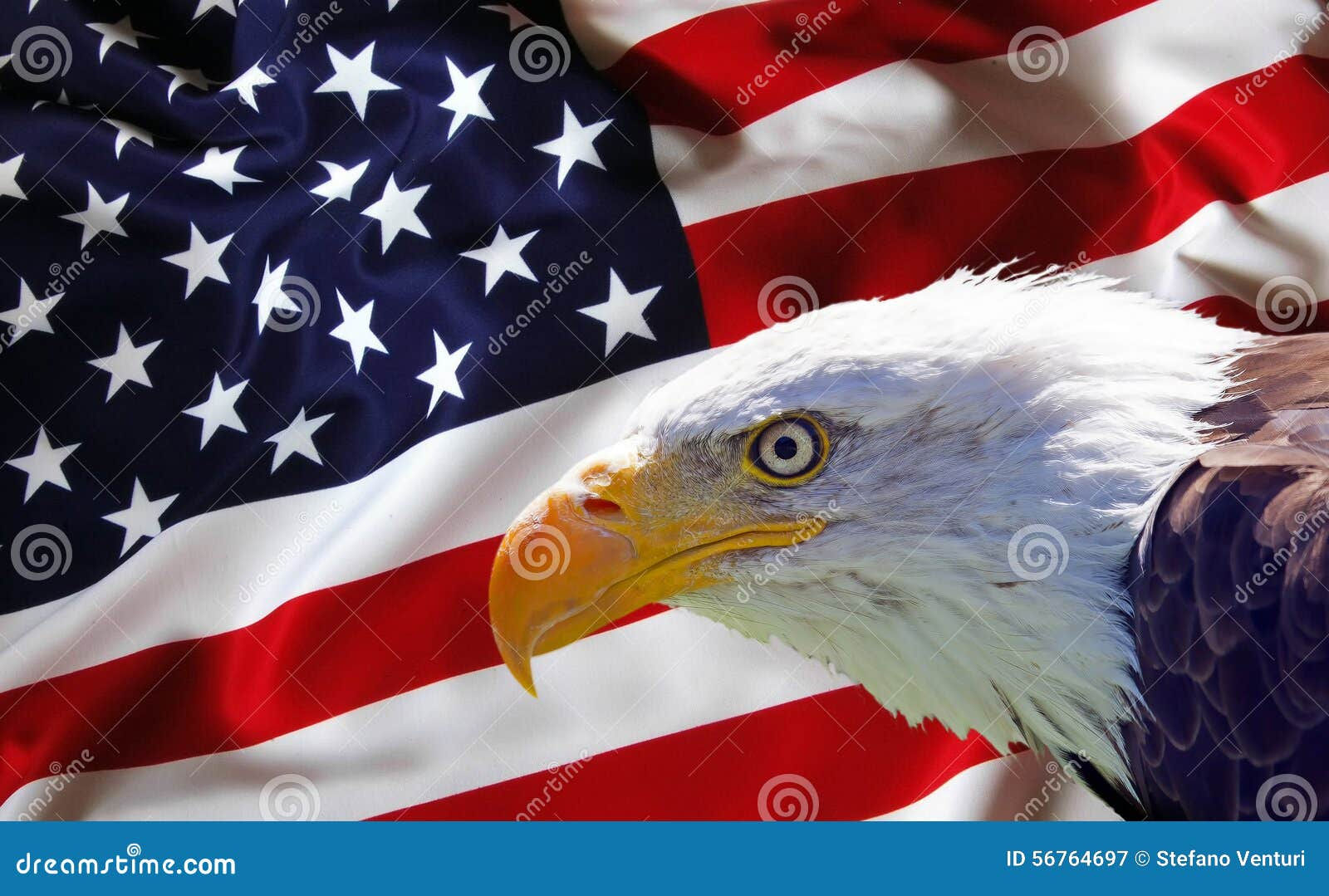 Wallpaper #6ef95 11209 Gier Eagle Images Stock Photos Vectors Shutterstock