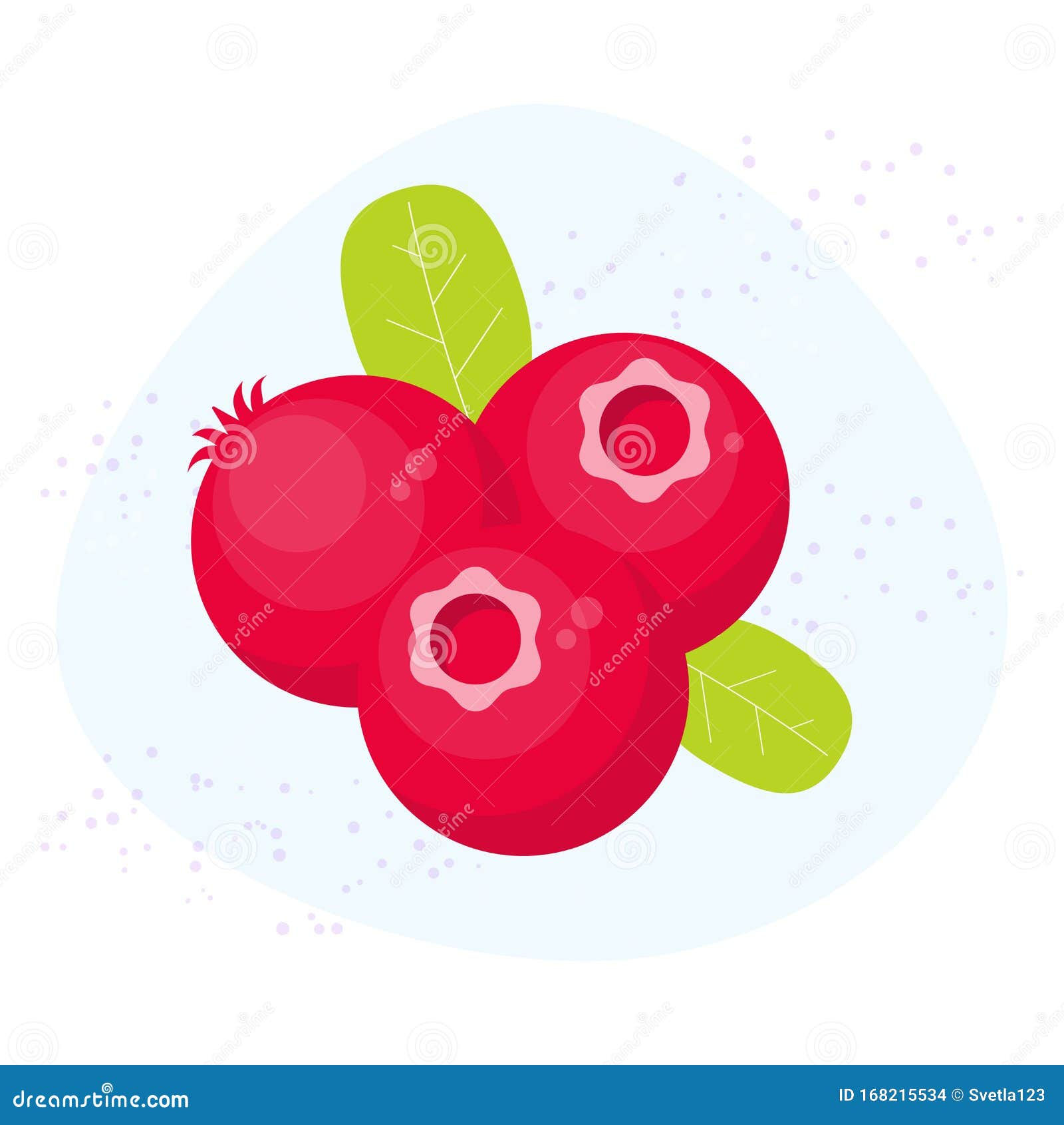 Wallpaper #3DD19 Cranberries Juice Vector 167451 Vector Art at Vecteezy