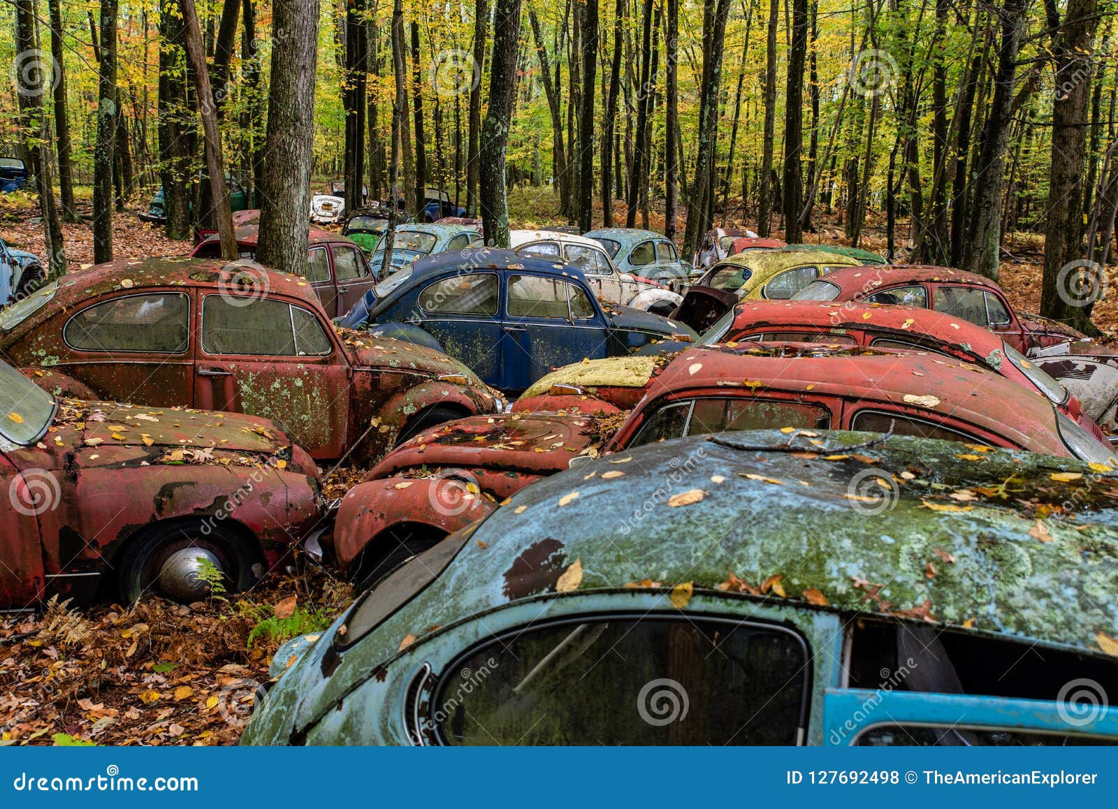 Wallpaper #rWgUHJMBSpphPi3-8SFd335 Vintage Antique Cars Junkyard in Autumn Abandoned Volkswagens