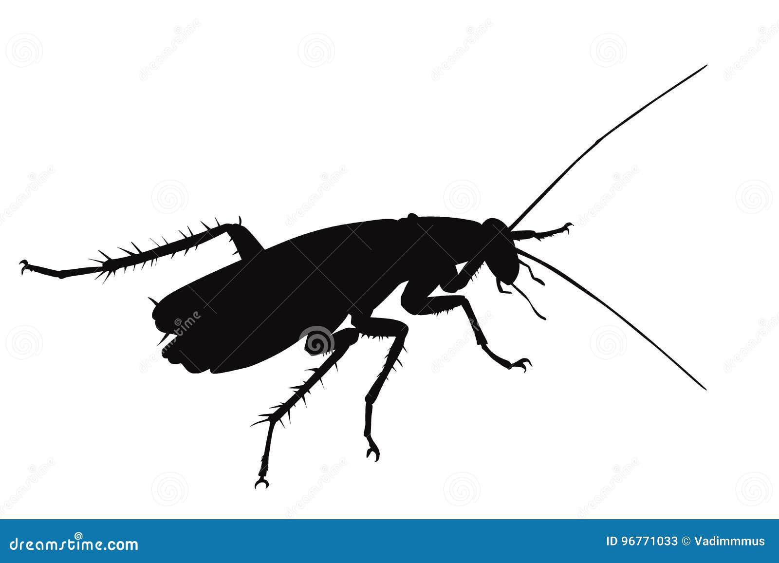 Wallpaper #SWdXCpMBSpphPi3-q9Qk279 Vector Cockroach Stock Vector Illustration of Disgusting 96771033