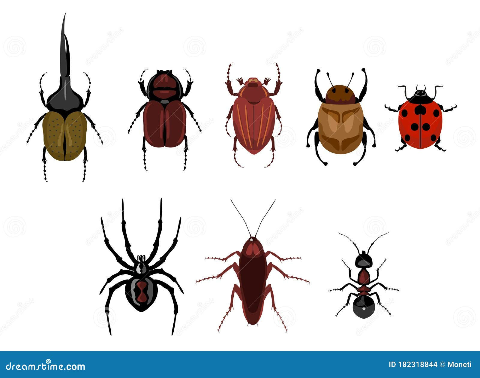Wallpaper #zGexDZMBSpphPi3-sebl65 Vector Set of Cute Cartoon Insects Crawling Insects Set Ant Spider