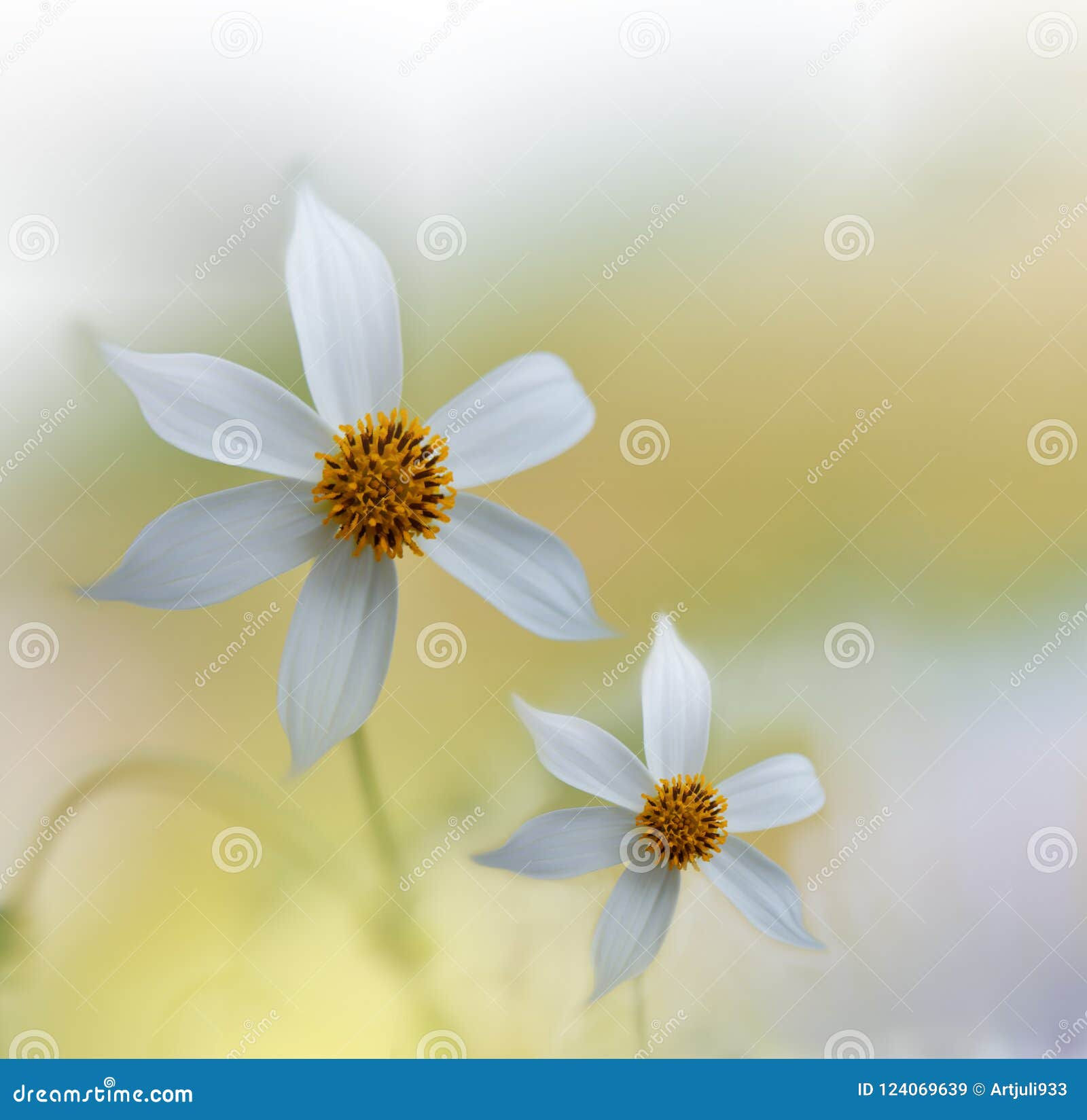 Wallpaper #1mjGGZMBSpphPi3-6hiW144 Beautiful Nature Backgroundabstract Wallpapercelebration Love