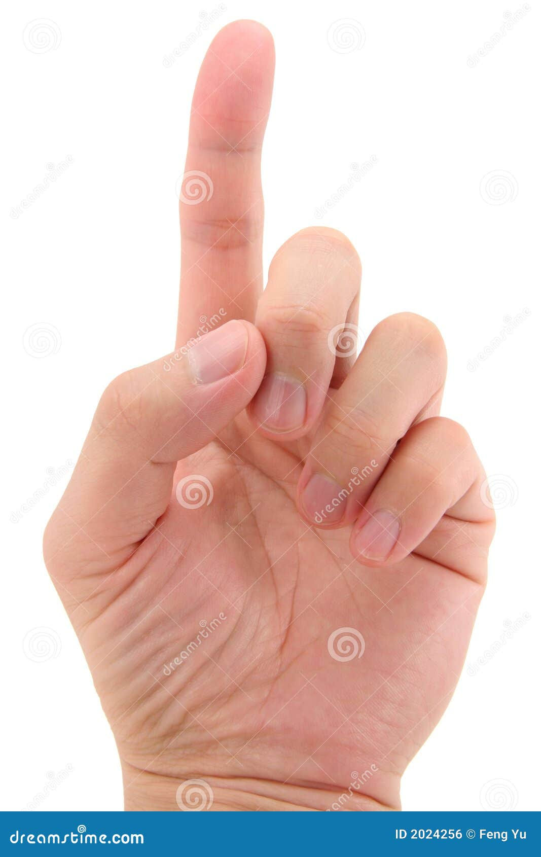 Wallpaper #AGcI75IBSpphPi3-VmDL181 Index Finger Pointing Up Stock Photo Image of Finger 2024256