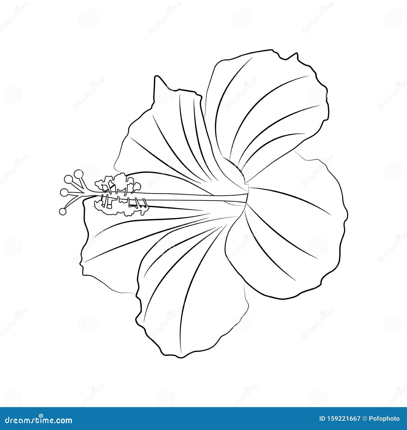 Wallpaper #8a759 Printable Downloadable Free Cricut Paper Flower Template