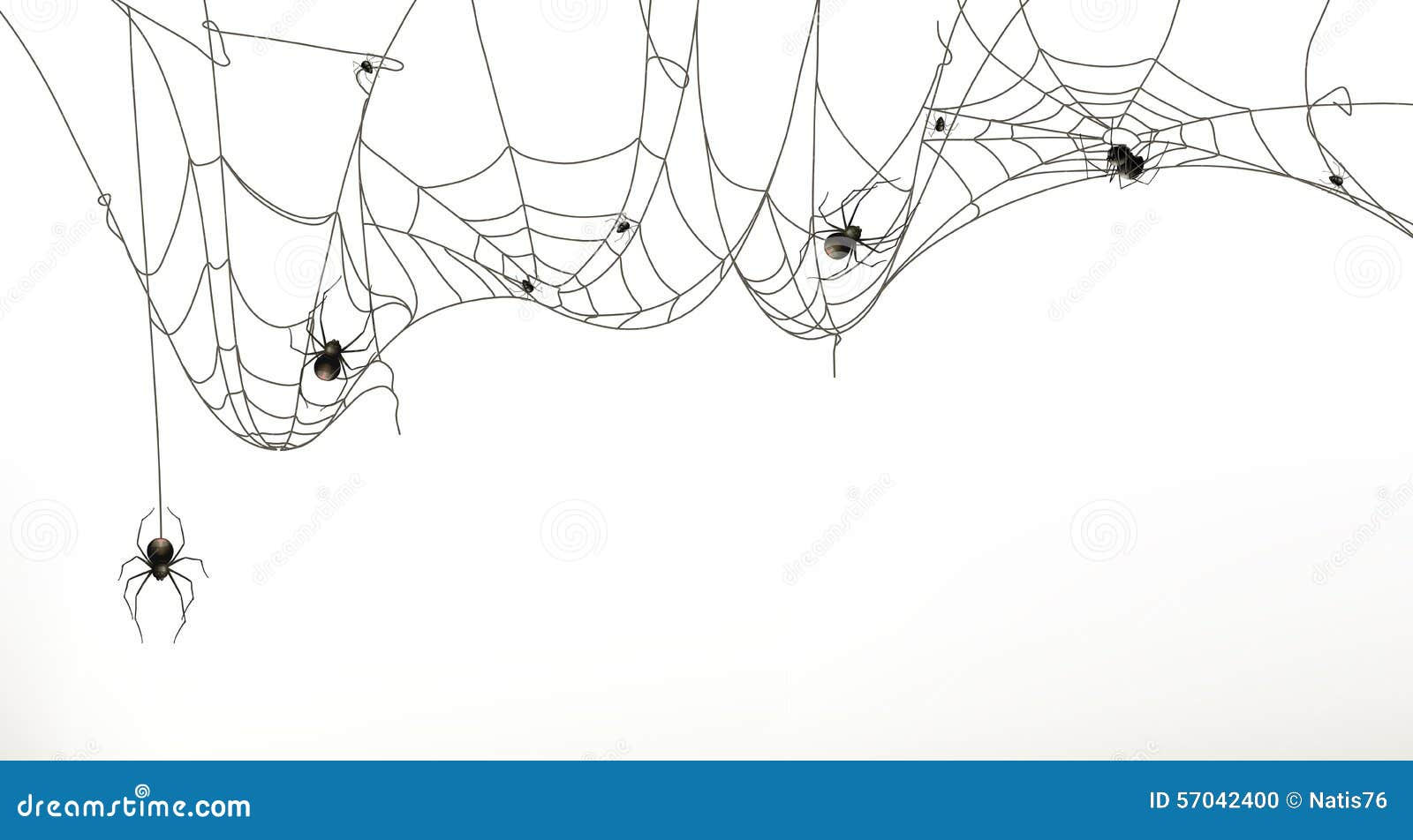 Wallpaper #52dP85IBSpphPi3-BnRA232 Spiders and Spider Web Stock Vector Illustration of Dangerous 57042400