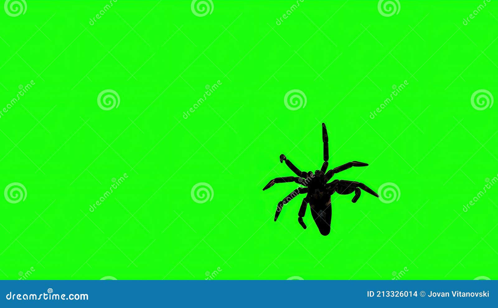 Wallpaper #zGexDZMBSpphPi3-sebl6 Spider Crawling Cartoon Vector Seamless Background Wallpaper 01