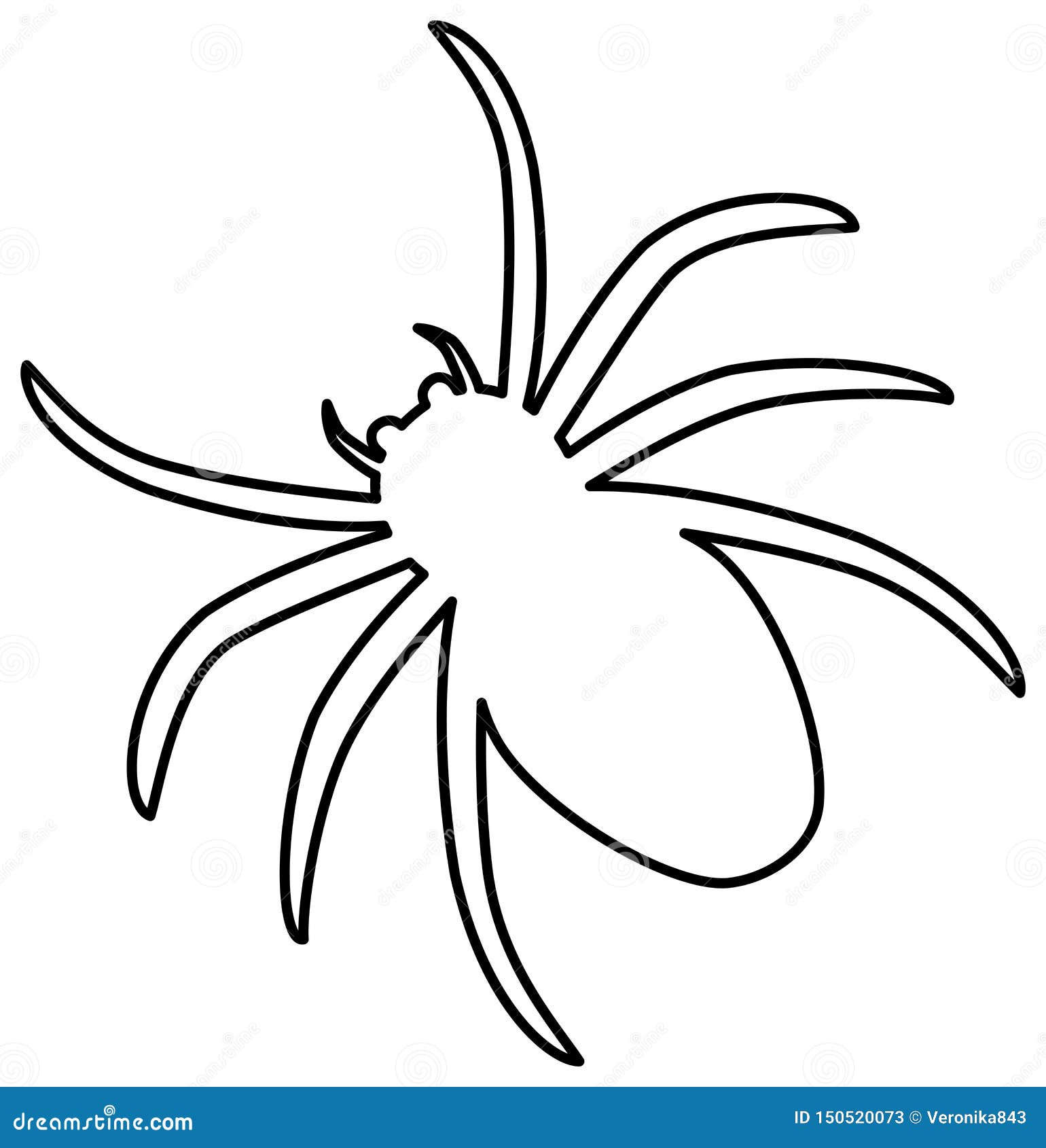 Wallpaper #lGfS95IBSpphPi3-XIdN297 Spider Tattoo Outline