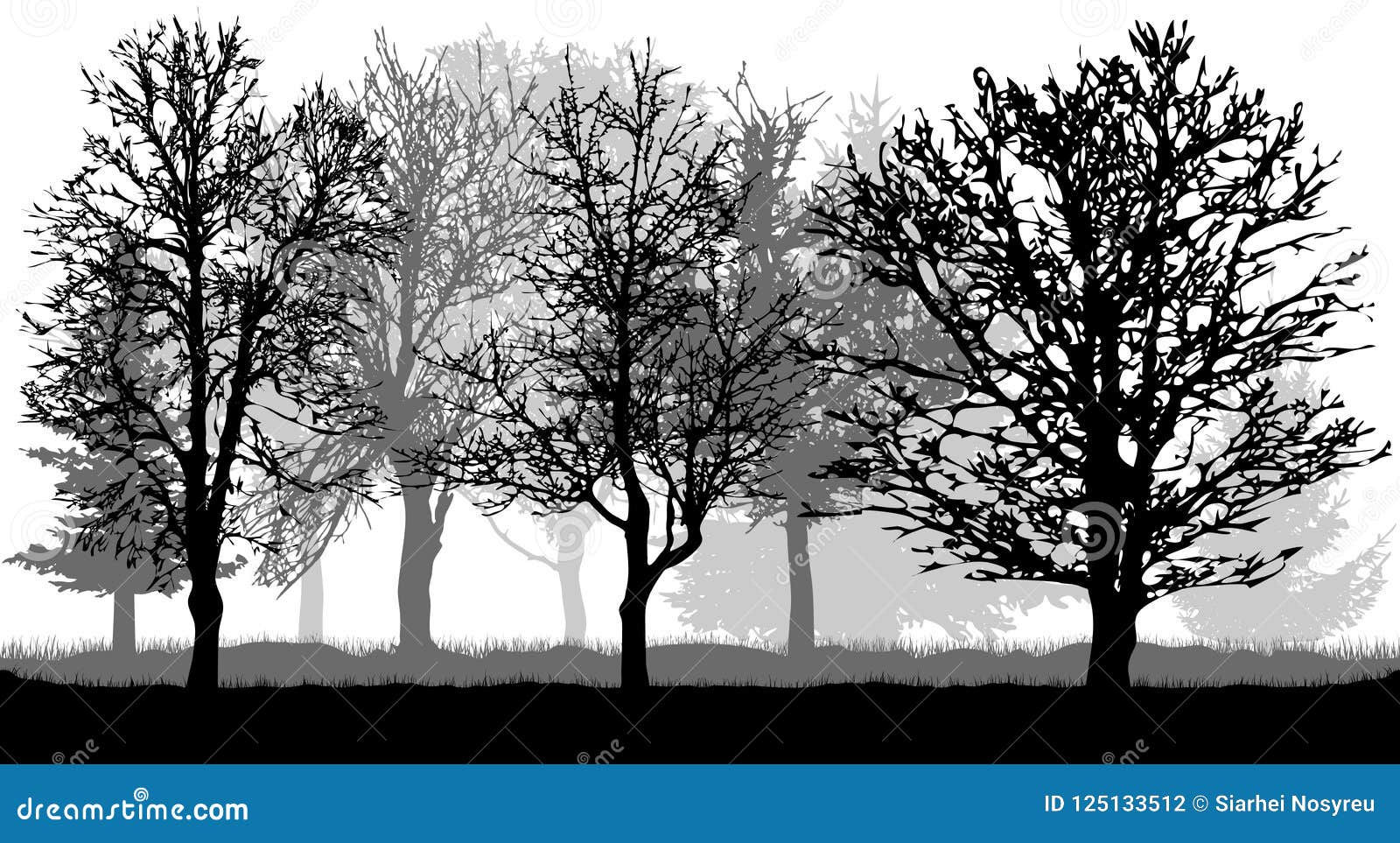 Wallpaper #gXfEJ5MB-pgBXx60hqcW232 Silhouette of Bare Trees Autumn Park Forest Vector Stock Vector