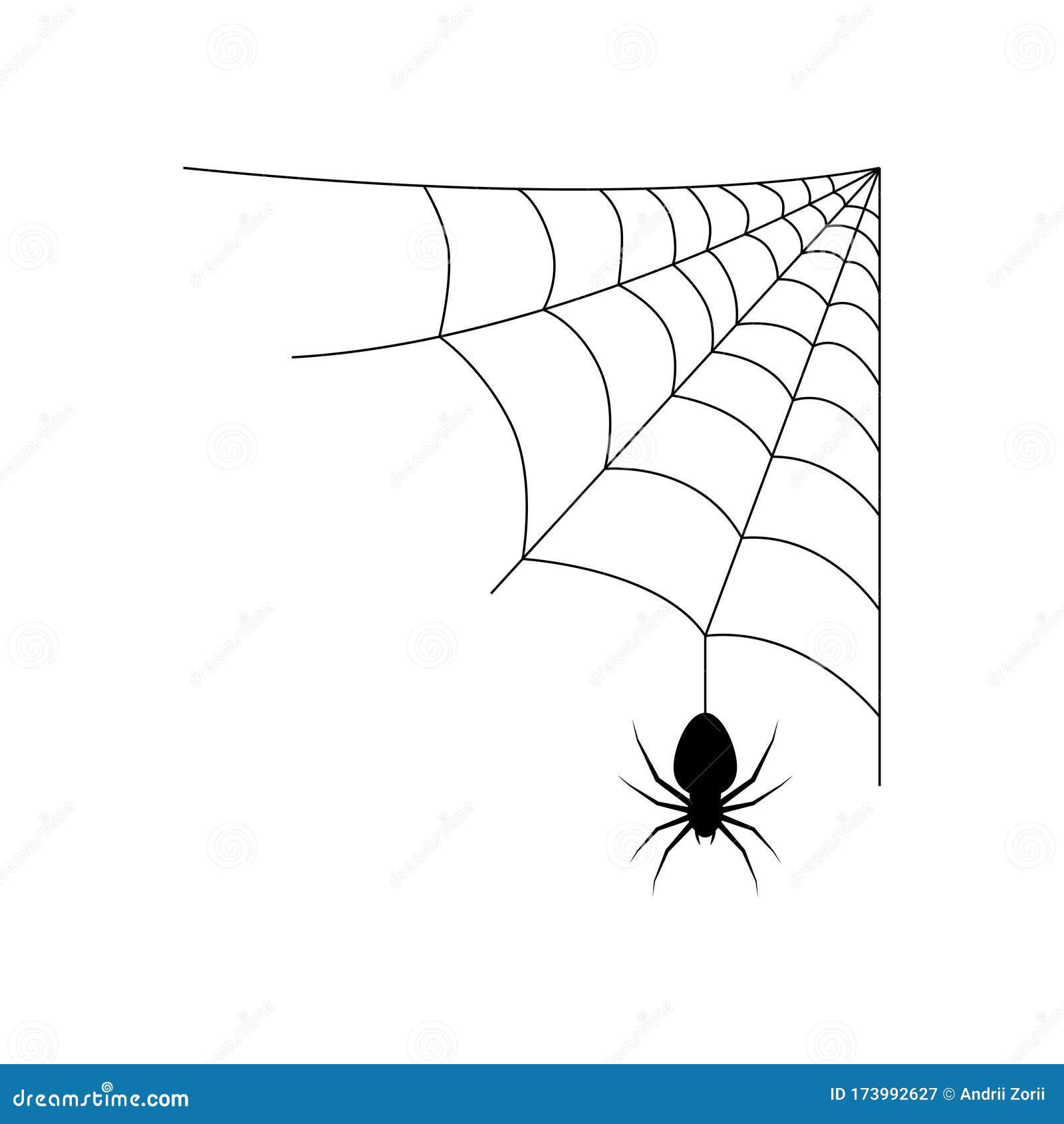 Wallpaper #aRnOEo8BtGB6xQ786WQF34 Spider Hanging on Spider Web Spider and a Web Stock Illustration