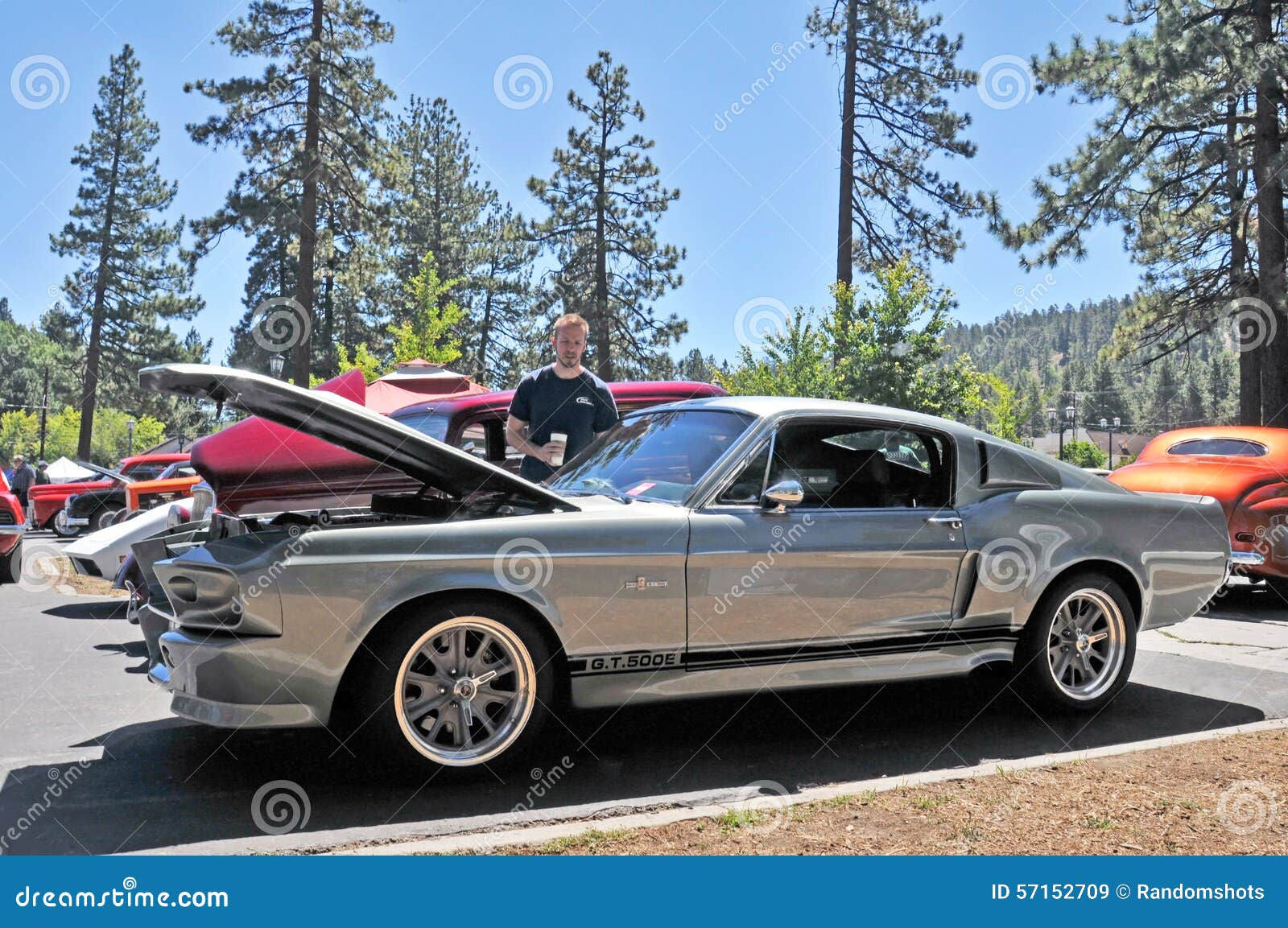 Wallpaper #G0C3L5MBJhL2WPbaxL7T264 Shelby Mustang Gt500e Editorial Stock Image Image of Auto 57152709