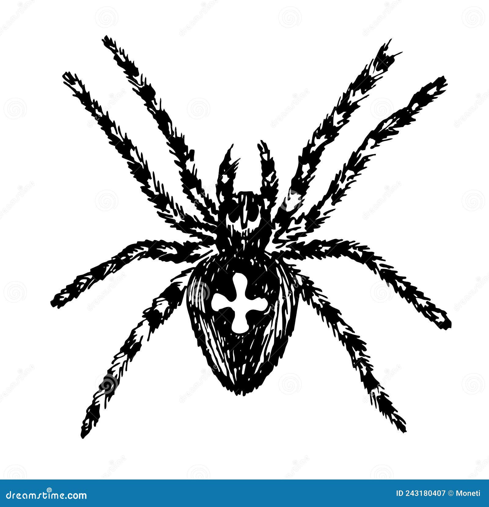 Wallpaper #O_S0OZMBKFX8bn3r9Xeu267 Spider Sketch Arachnid Fear Spider Hand Draw Scary Animal Poisonous