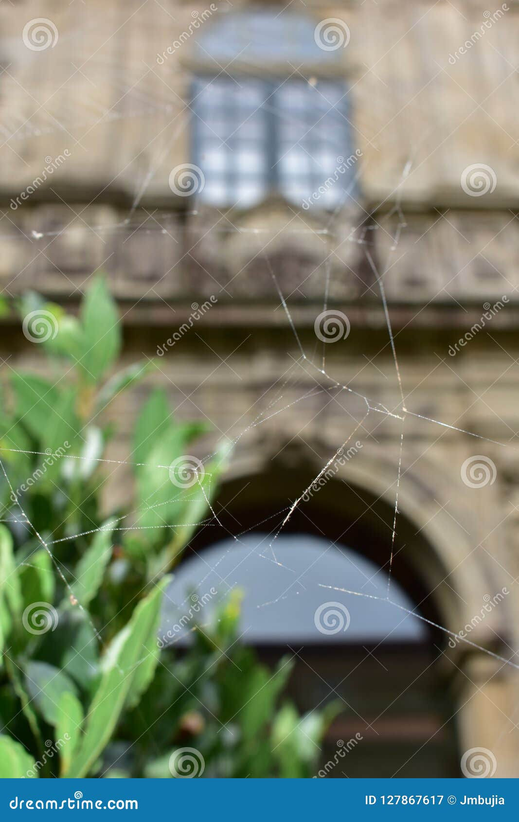 Wallpaper #zqkWiJcBxbDgA0Rl1O5S32 Spider Web in Cloister Funny Perspective Stock Image Image of