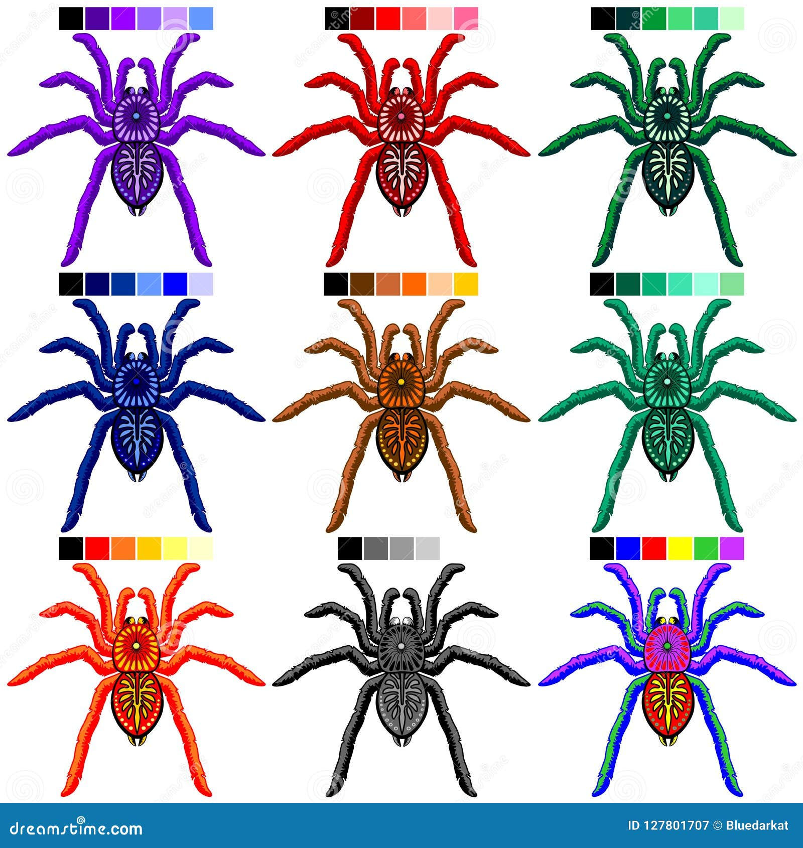 Wallpaper #Th38LJMBlOZrFDOkrs2G55 Spiders Tarantulas Set of 9 Colors Stock Vector Illustration of Aqua