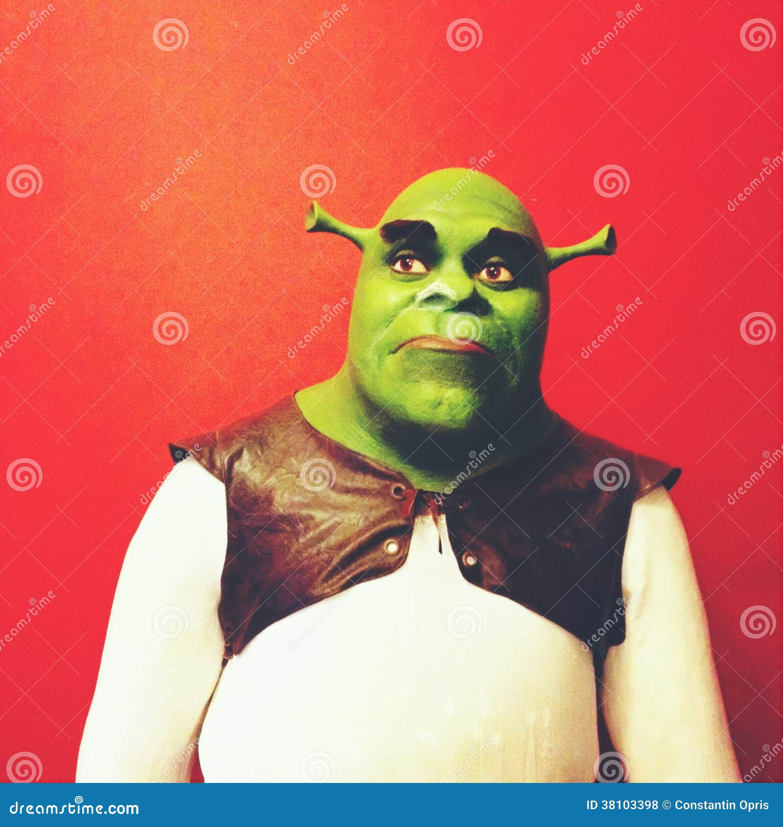 Wallpaper #11e69 Shrek Meme Templates Imgflip