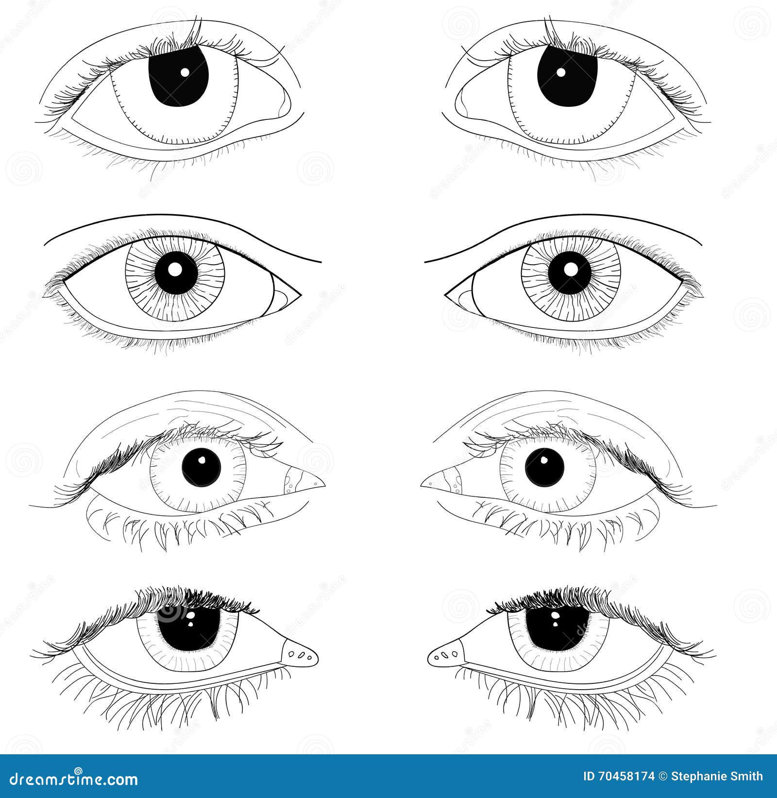 Wallpaper #lGfS95IBSpphPi3-XIdN270 Set of Realistic Eyes Hand Drawn Line Art Illustrations No Fill Body